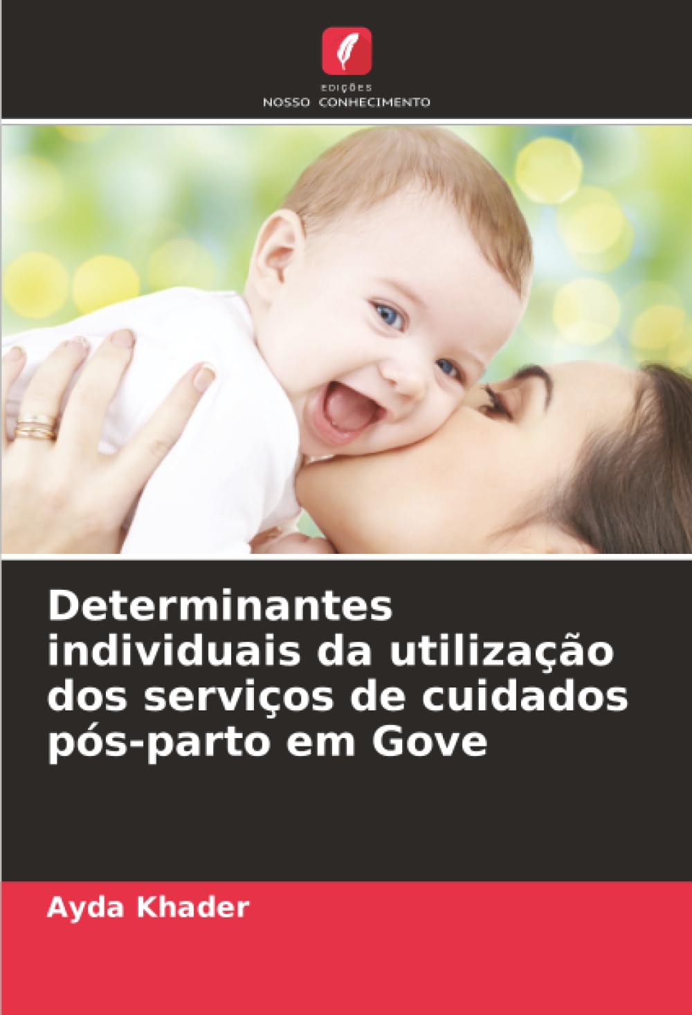 Determinantes individuais da utilização dos serviços de cuidados pós-parto em Gove Law