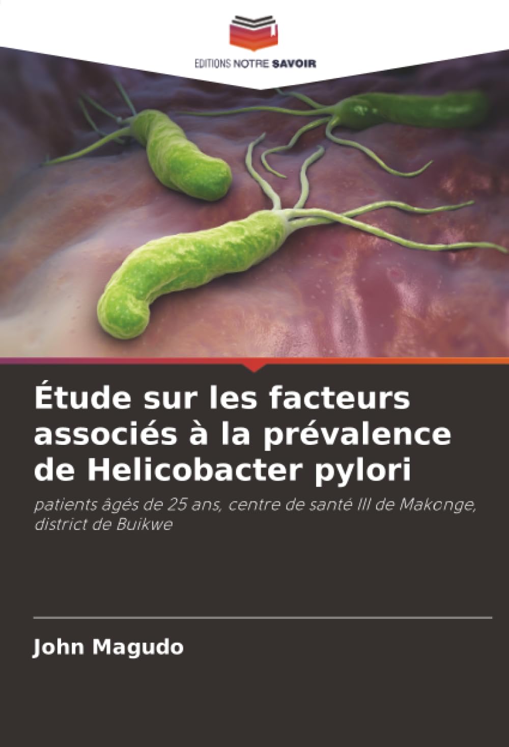 Étude sur les facteurs associés à la prévalence de Helicobacter pylori: patients âgés de 25 ans, centre de santé III de Makonge, district de Buikwe Medicine