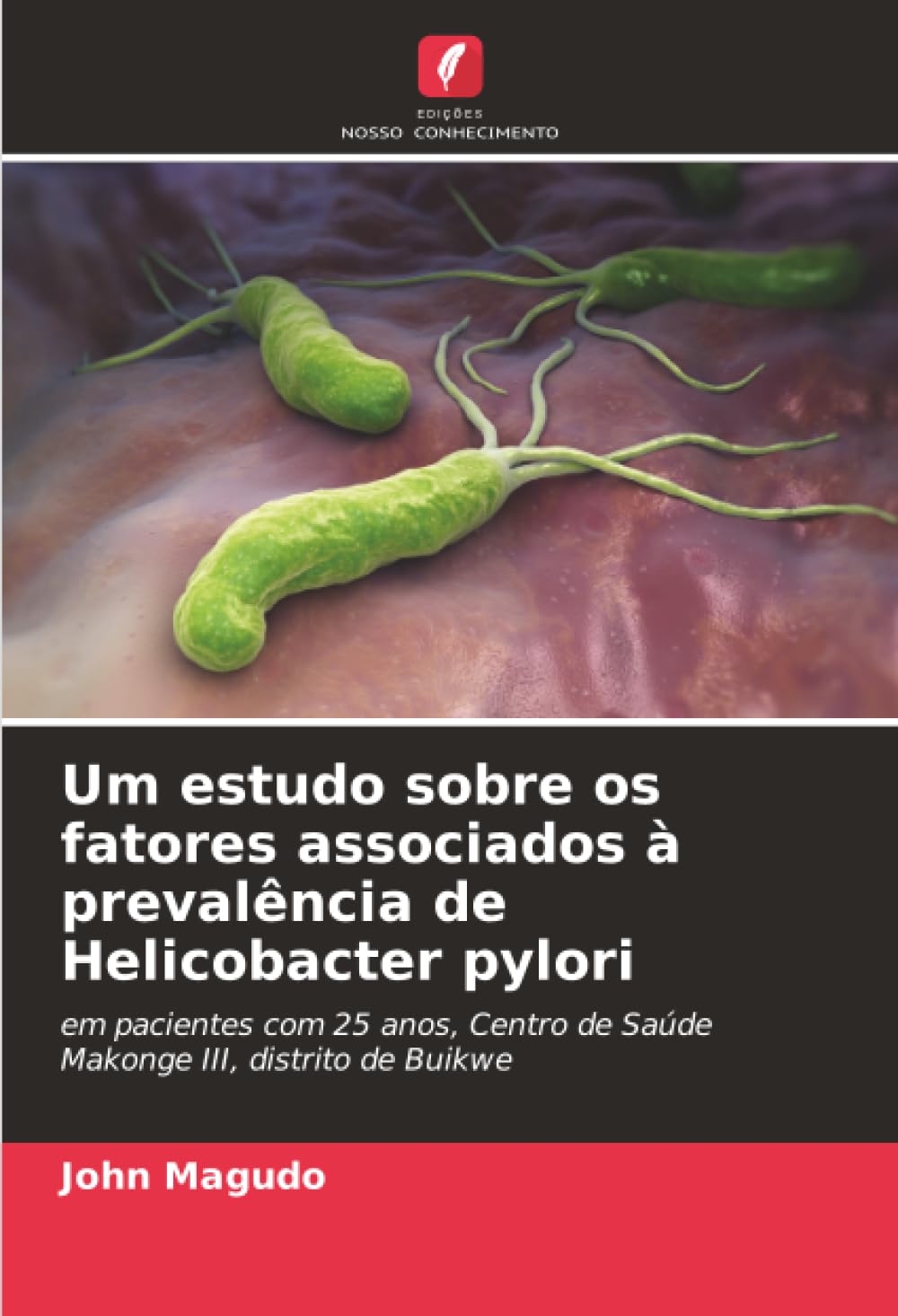 Um estudo sobre os fatores associados à prevalência de Helicobacter pylori Medicine