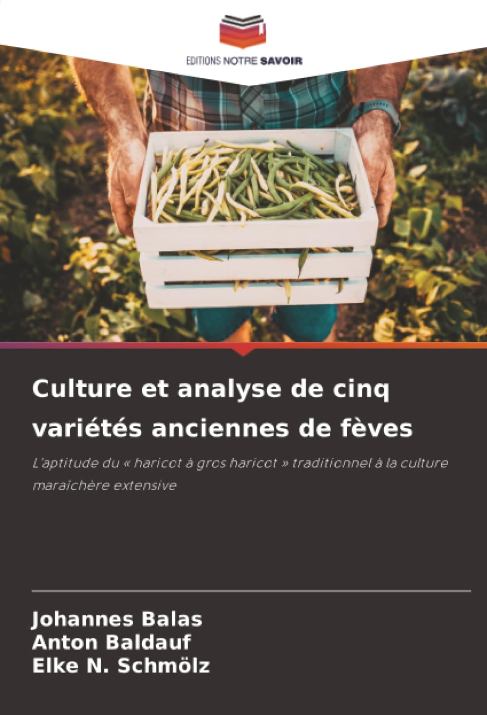 Culture et analyse de cinq variétés anciennes de fèves: L'aptitude du ' haricot à gros haricot ' traditionnel à la culture maraîchère extensive Natural Sciences