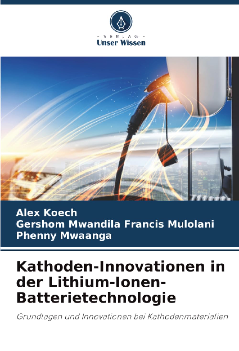 Kathoden-Innovationen in der Lithium-Ionen-Batterietechnologie Business & Technology