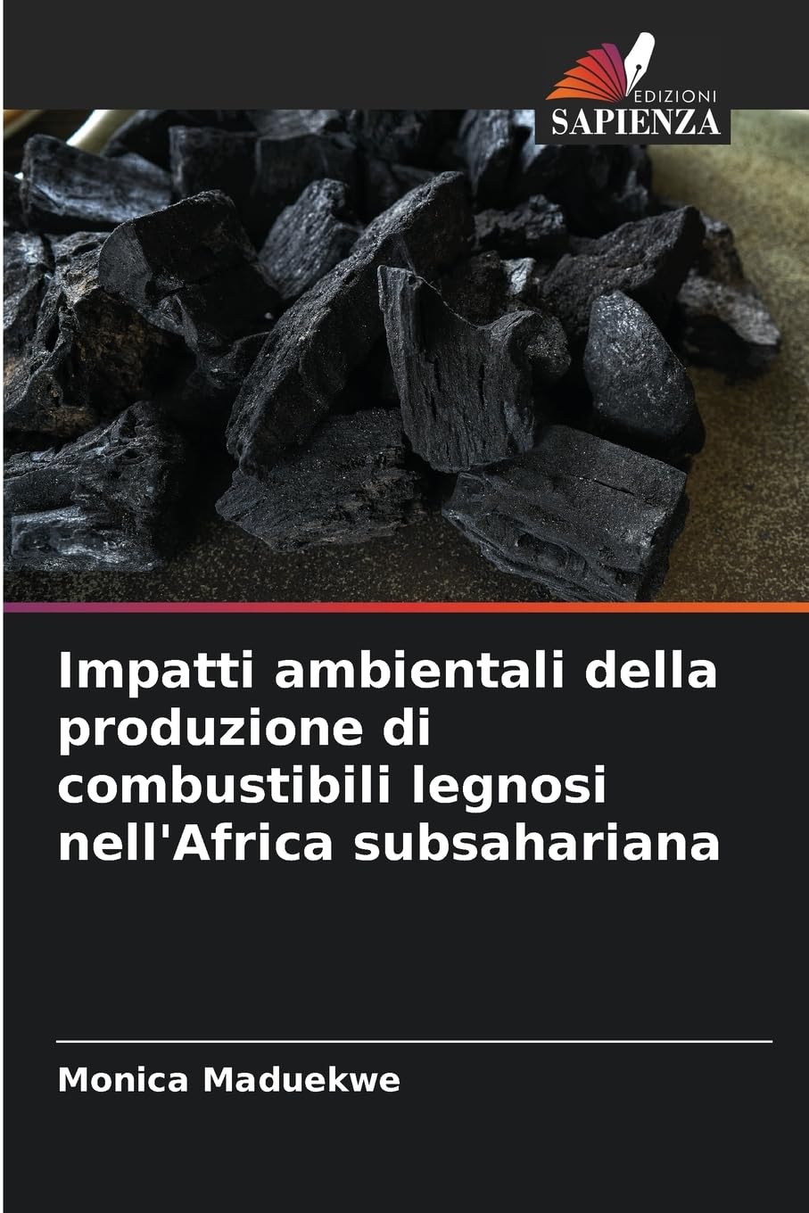 Impatti ambientali della produzione di combustibili legnosi nell'Africa subsahariana Business & Technology