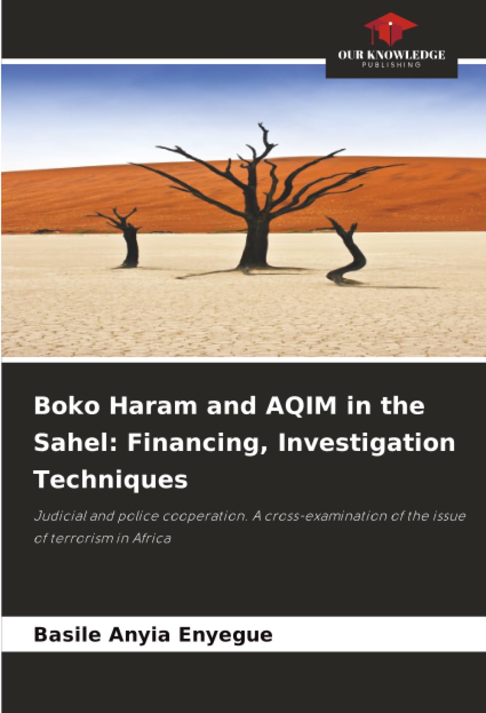 Boko Haram and AQIM in the Sahel: Financing, Investigation Techniques Natural Sciences
