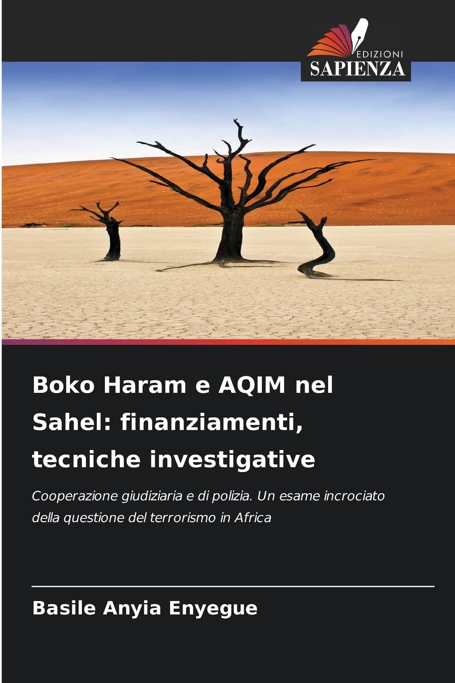 Boko Haram e AQIM nel Sahel: finanziamenti, tecniche investigative Natural Sciences