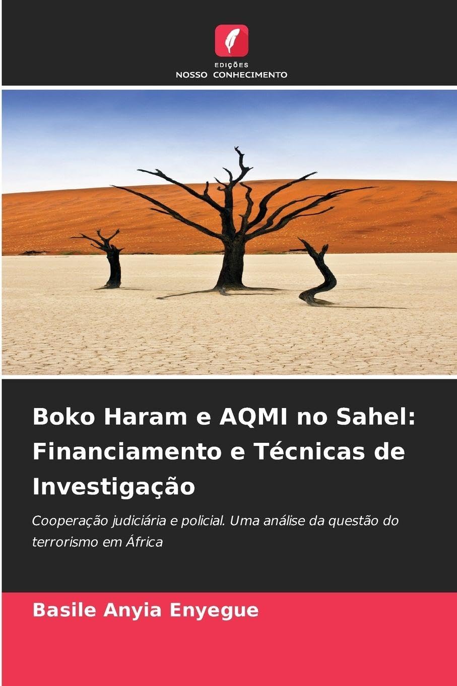 Boko Haram e AQMI no Sahel: Financiamento e Técnicas de Investigação Natural Sciences