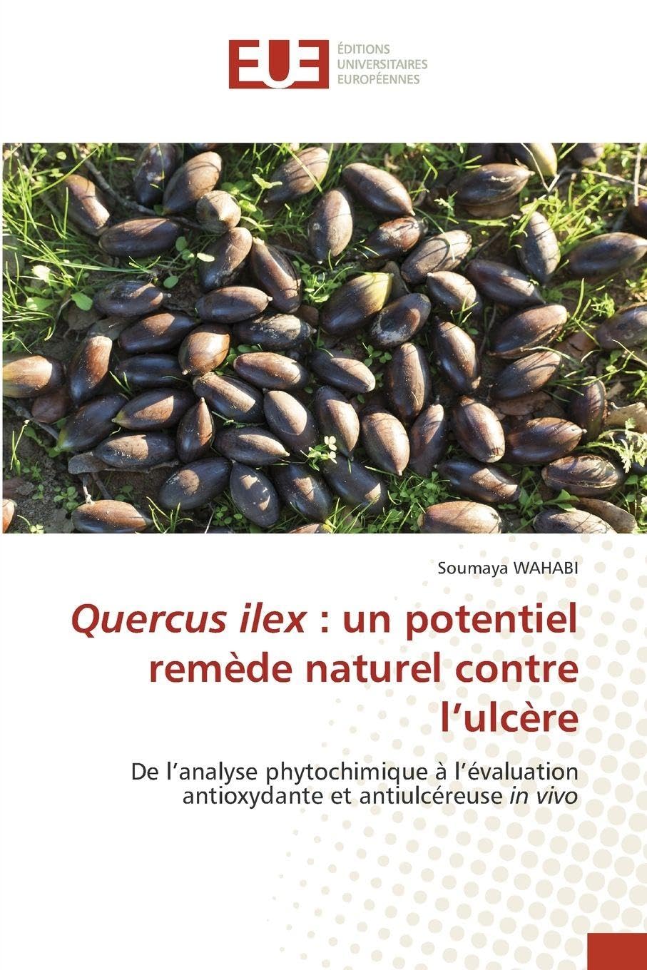 Quercus ilex : un potentiel remède naturel contre l'ulcère Natural Sciences