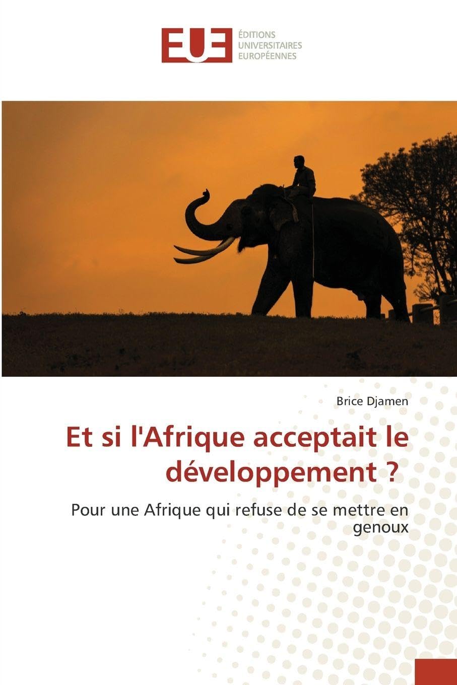 Et si l'Afrique acceptait le développement ? Law