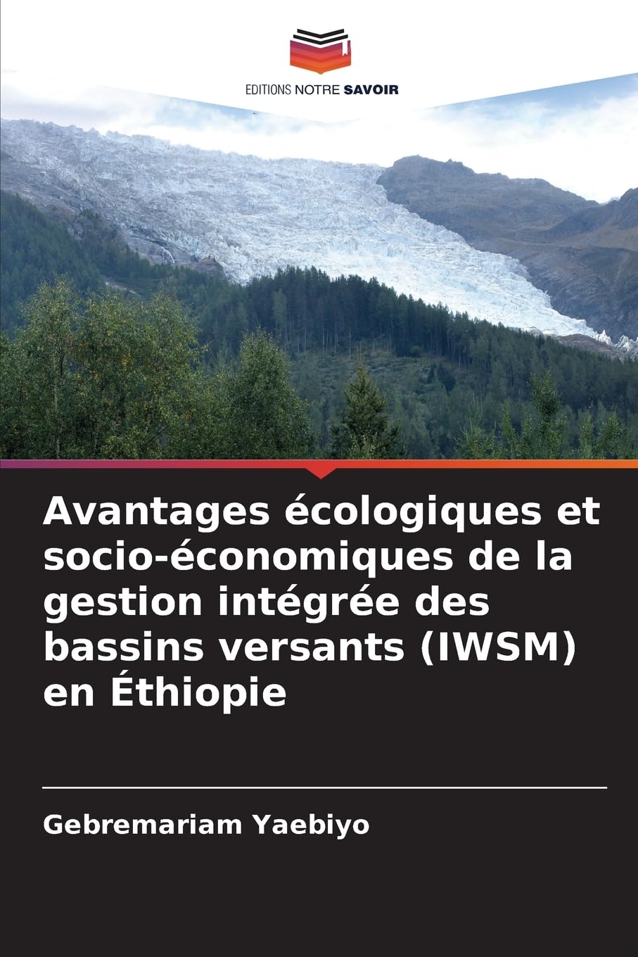 Avantages écologiques et socio-économiques de la gestion intégrée des bassins versants (IWSM) en Éthiopie Natural Sciences