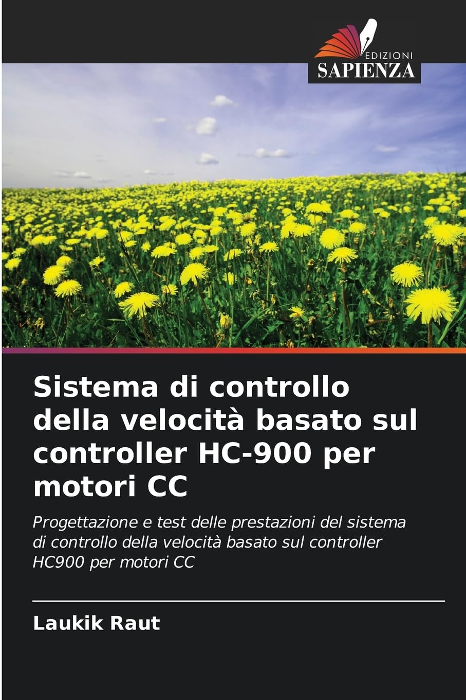 Sistema di controllo della velocità basato sul controller HC-900 per motori CC Business & Technology