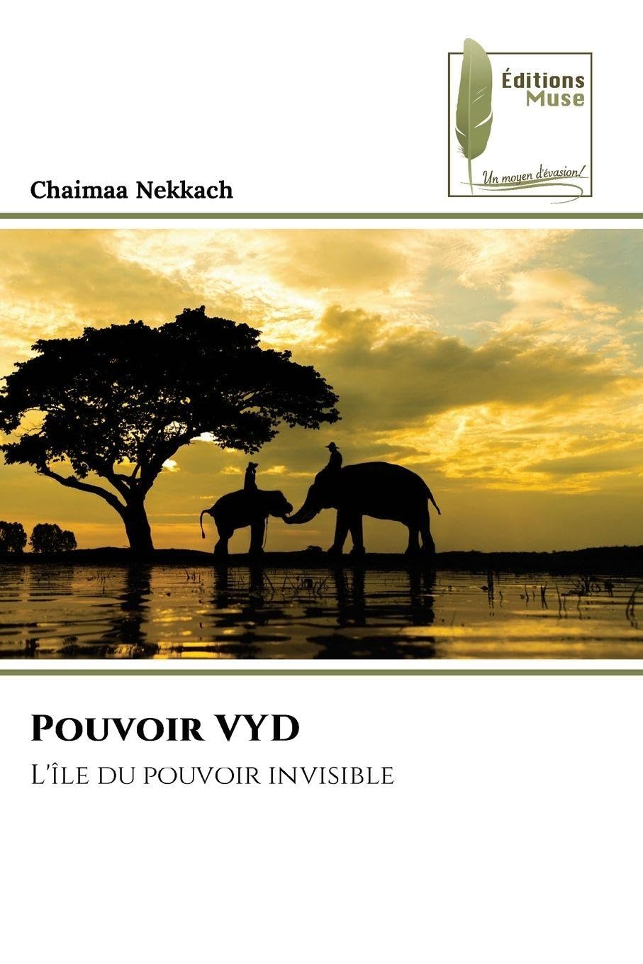 Pouvoir VYD: L'île du pouvoir invisible Crime & Thrillers