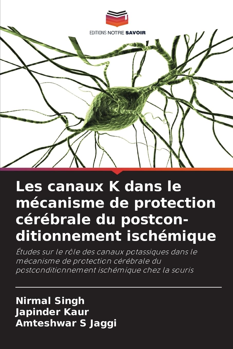 Les canaux K dans le mécanisme de protection cérébrale du postcon-ditionnement ischémique Medicine