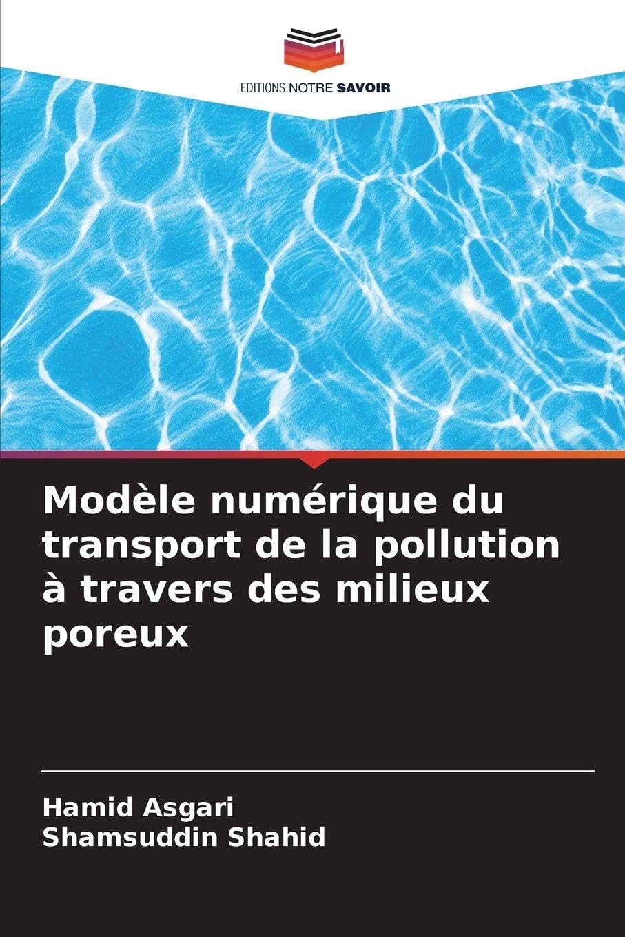 Modèle numérique du transport de la pollution à travers des milieux poreux Business & Technology