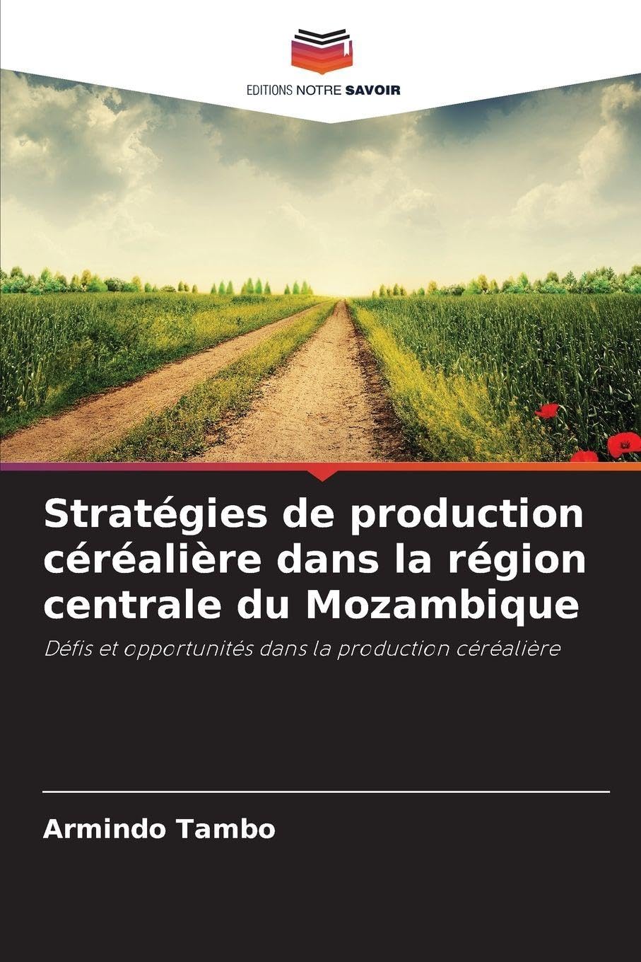 Stratégies de production céréalière dans la région centrale du Mozambique Natural Sciences