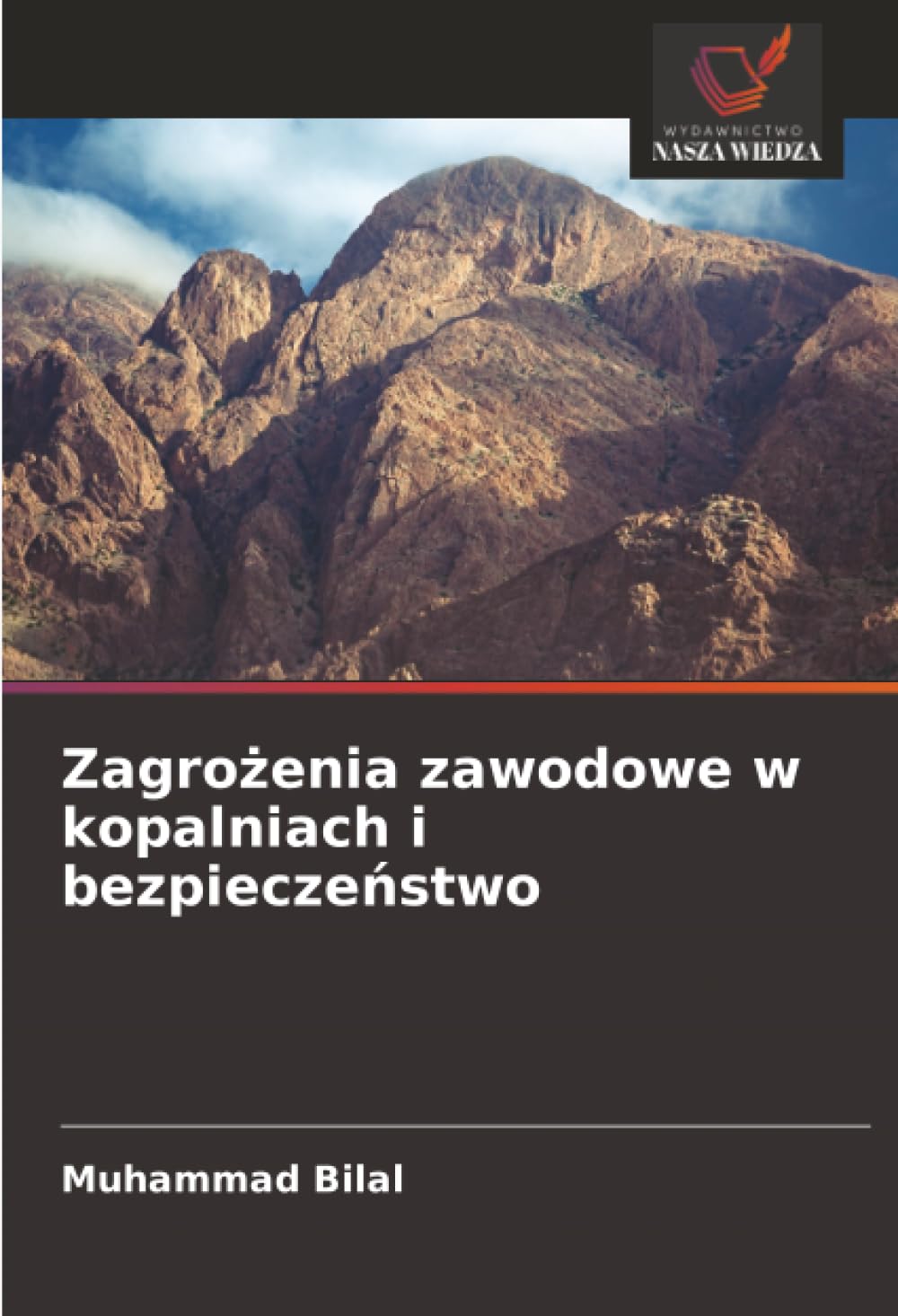 Zagro¿enia zawodowe w kopalniach i bezpiecze¿stwo Natural Sciences