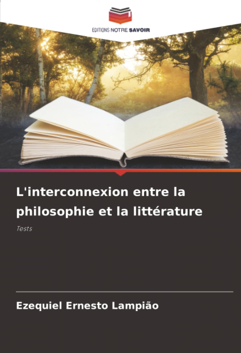 L'interconnexion entre la philosophie et la littérature: Tests Philosophy