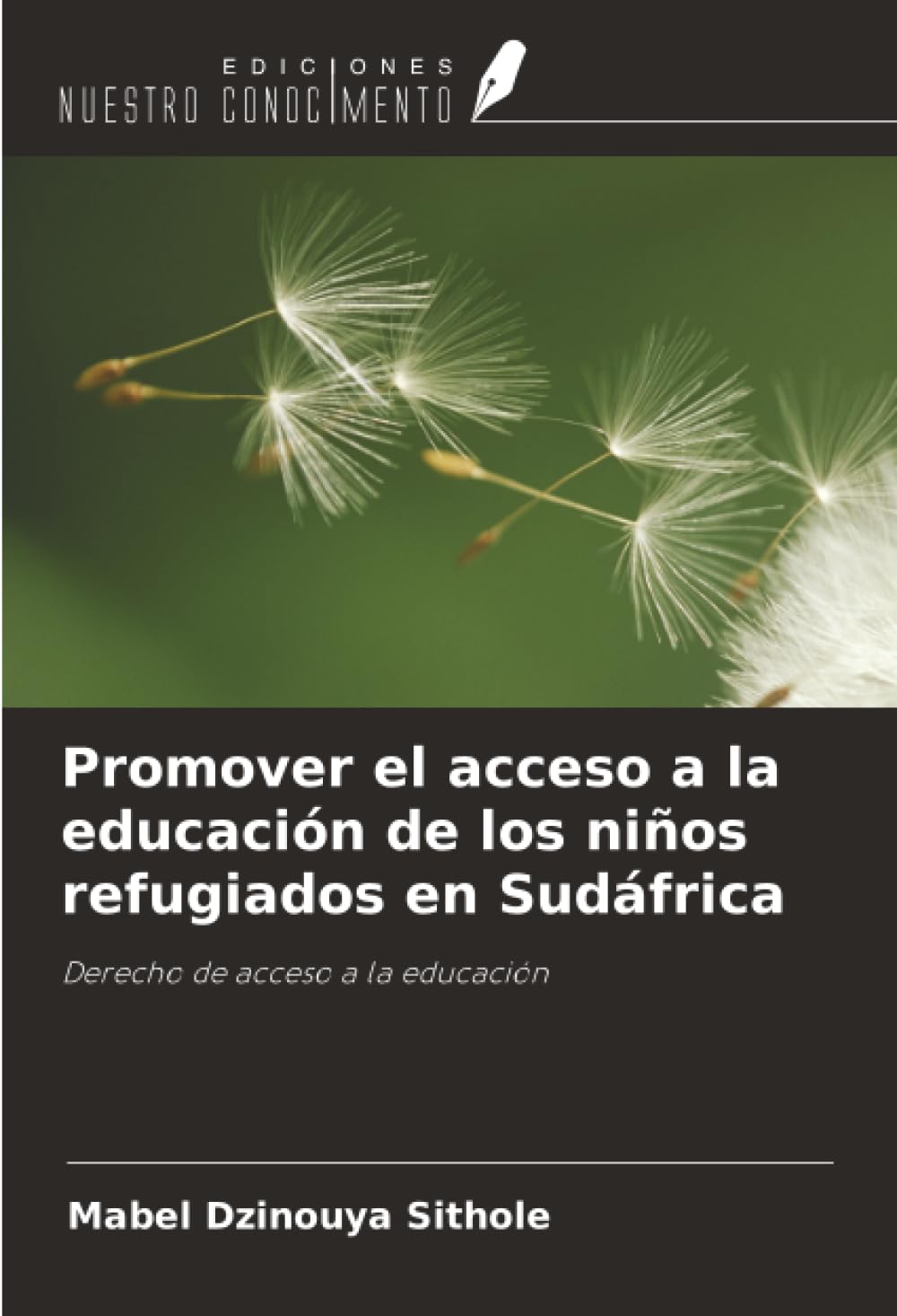 Promover el acceso a la educación de los niños refugiados en Sudáfrica Law