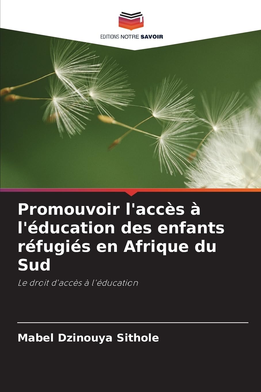 Promouvoir l'accès à l'éducation des enfants réfugiés en Afrique du Sud: Le droit d'accès à l'éducation Law