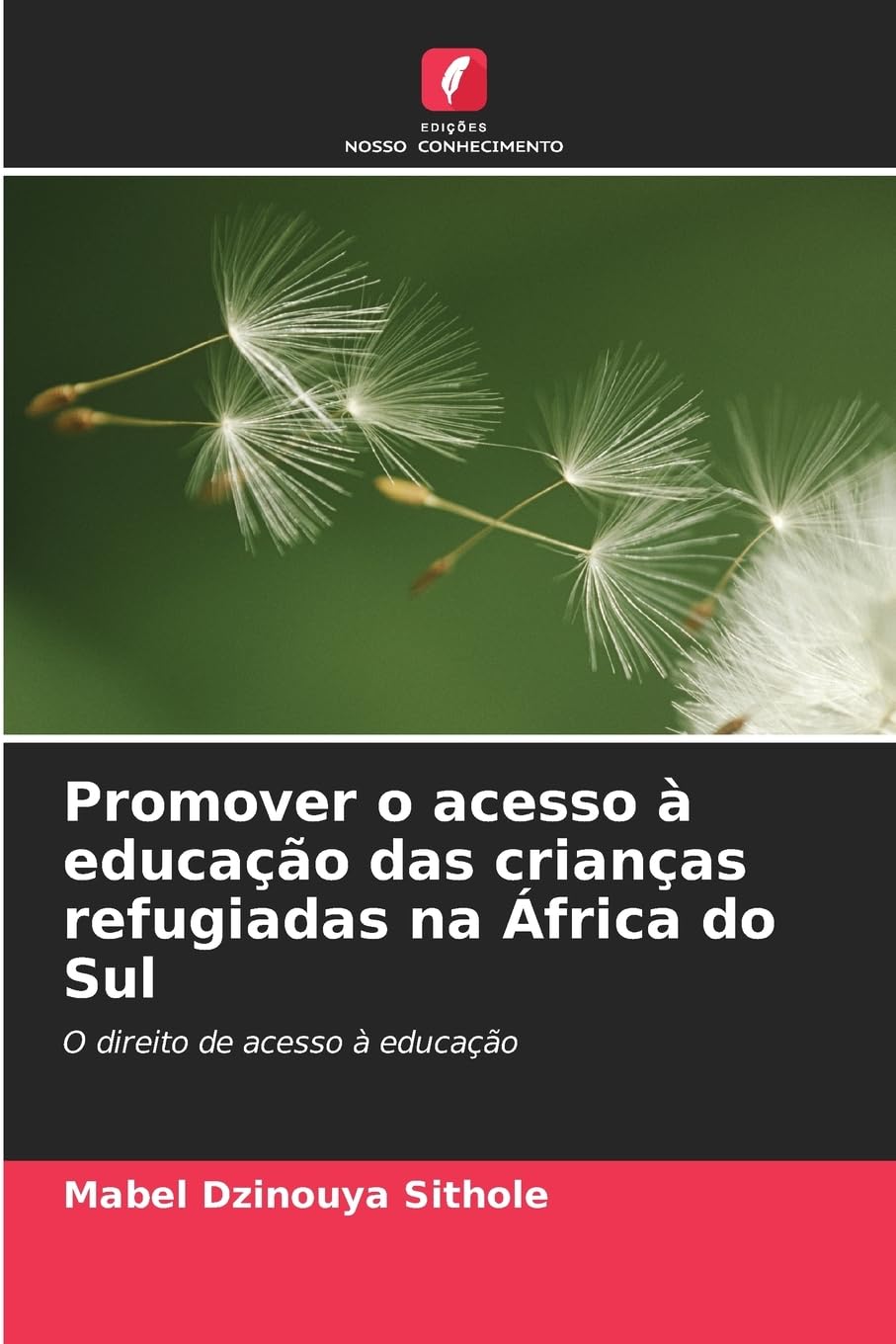 Promover o acesso à educação das crianças refugiadas na África do Sul Law