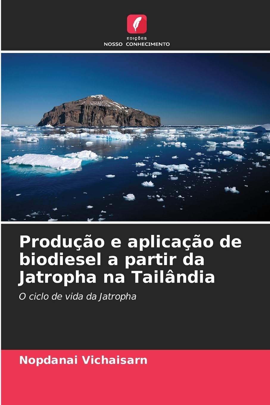 Produção e aplicação de biodiesel a partir da Jatropha na Tailândia Business & Technology