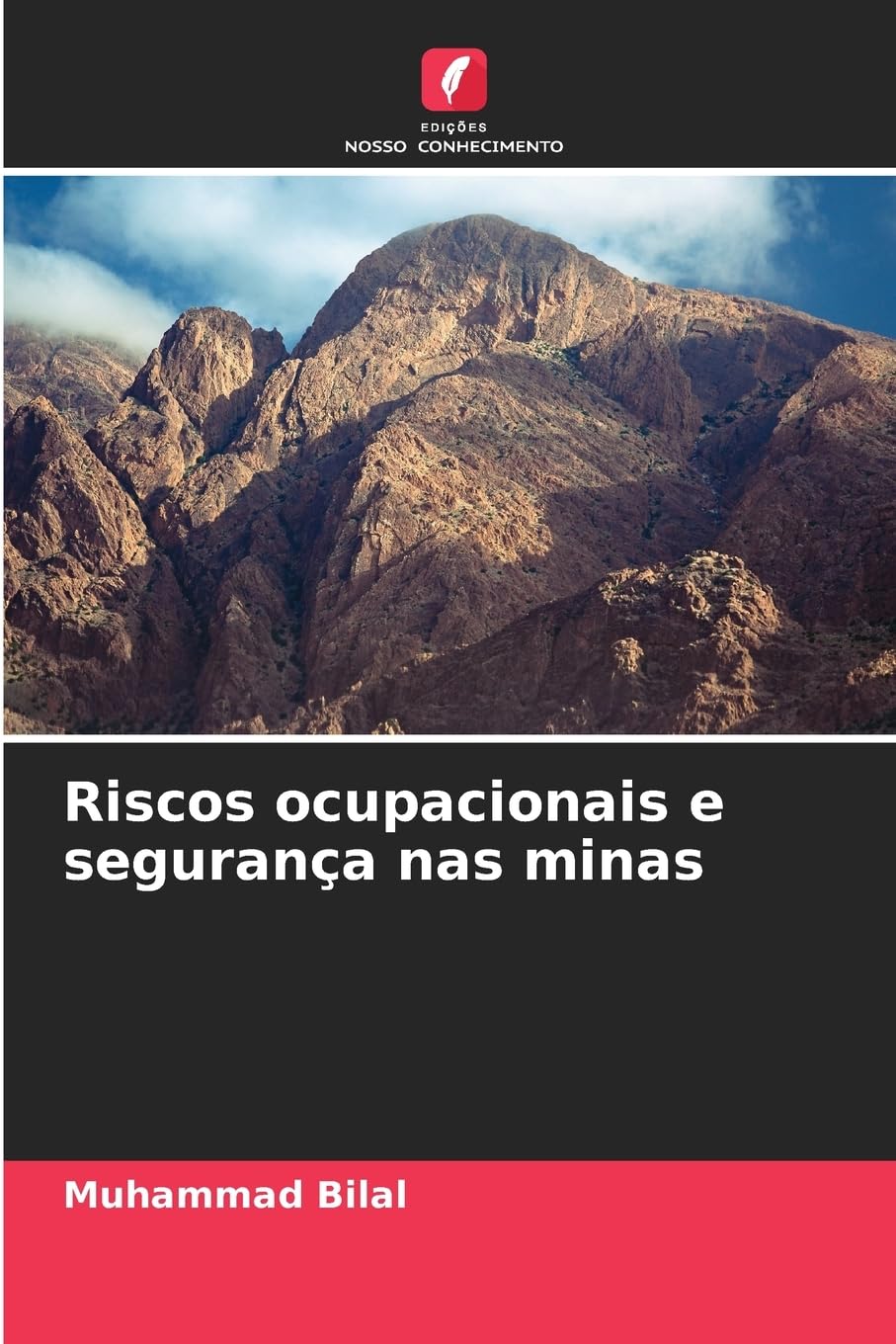 Riscos ocupacionais e segurança nas minas Natural Sciences