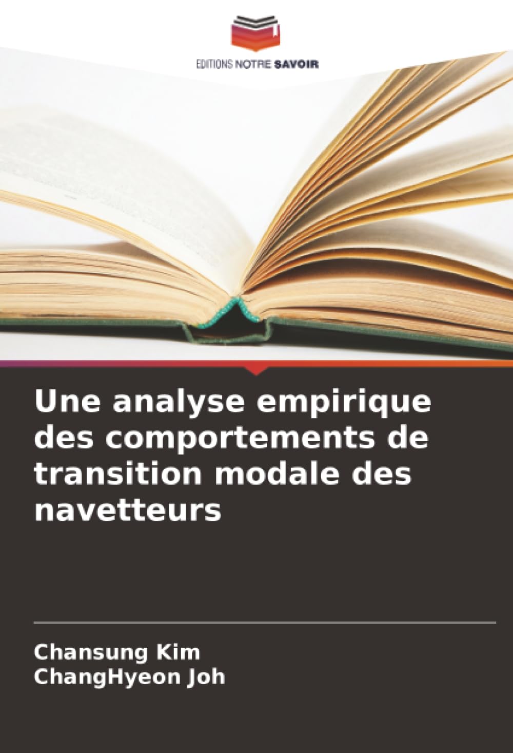Une analyse empirique des comportements de transition modale des navetteurs Leisure, Home & Garden