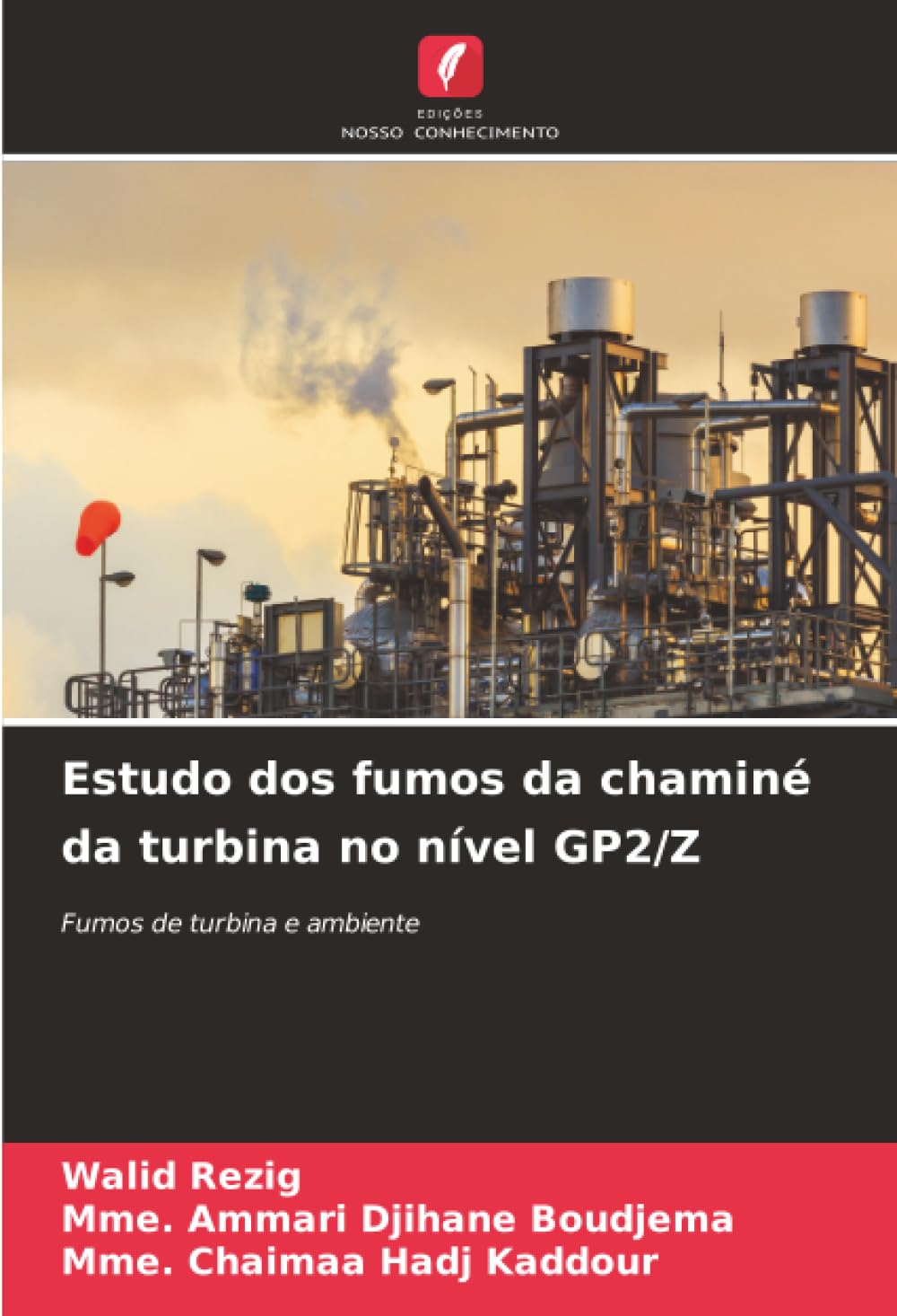 Estudo dos fumos da chaminé da turbina no nível GP2/Z Law