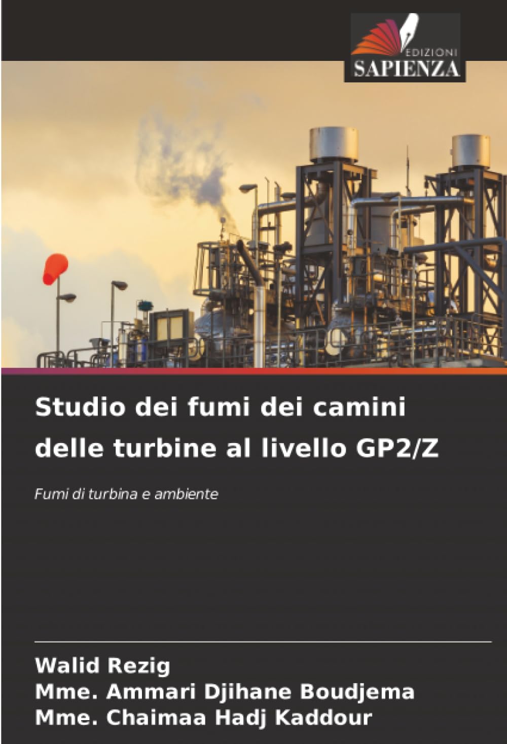 Studio dei fumi dei camini delle turbine al livello GP2/Z Law