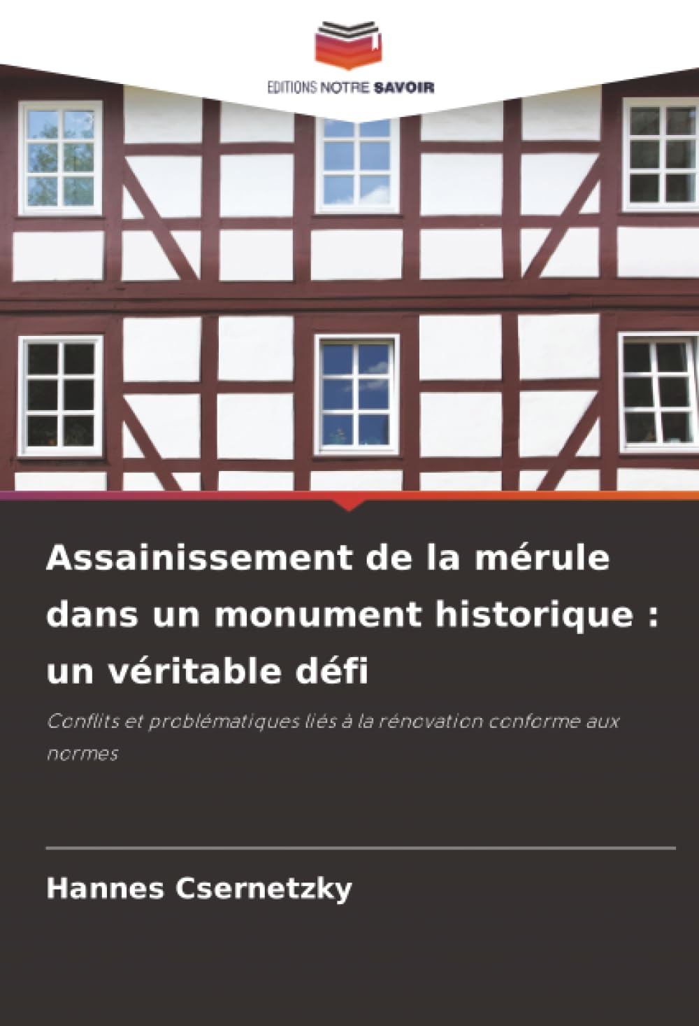 Assainissement de la mérule dans un monument historique : un véritable défi Law