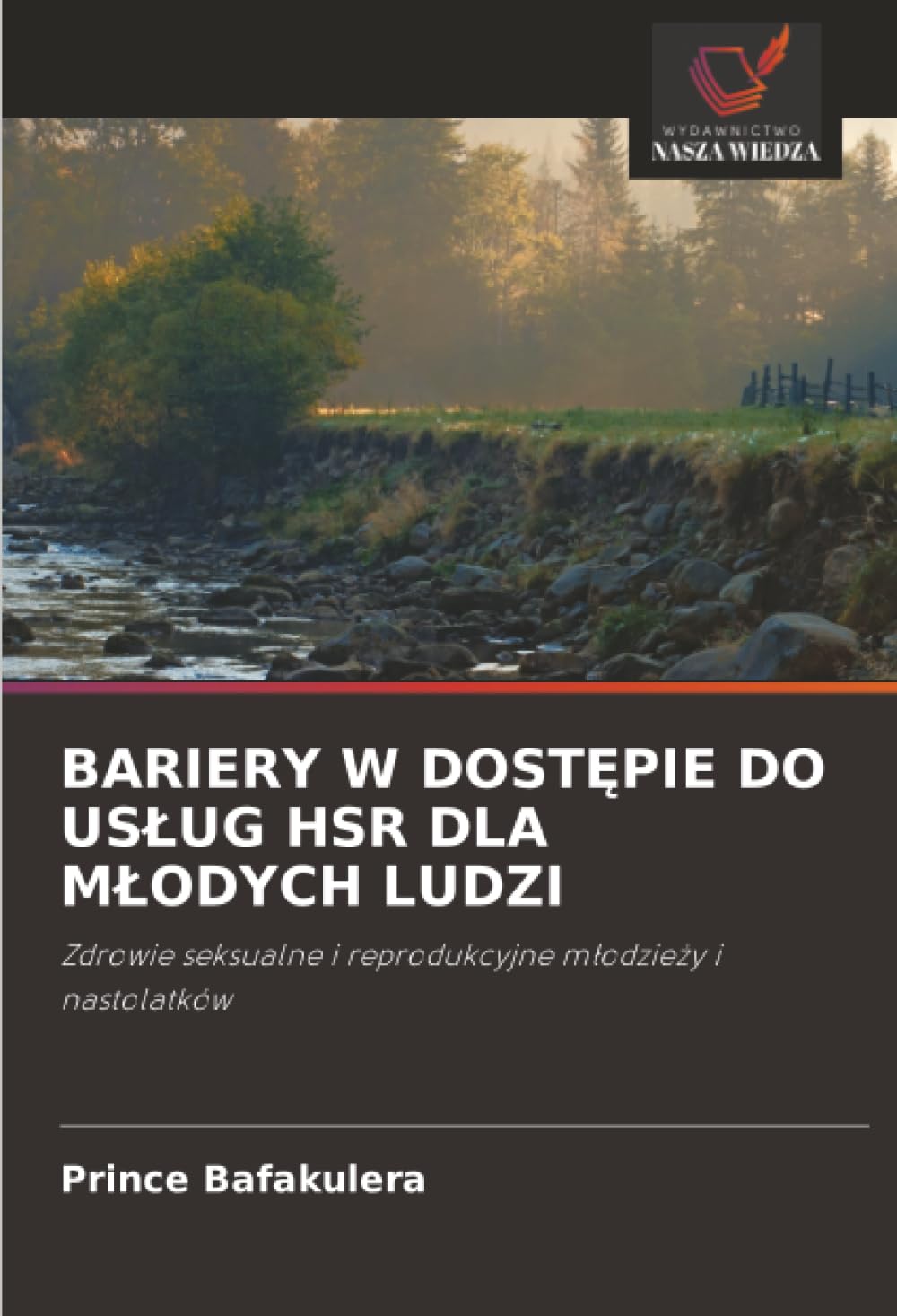BARIERY W DOST¿PIE DO US¿UG HSR DLA M¿ODYCH LUDZI Law