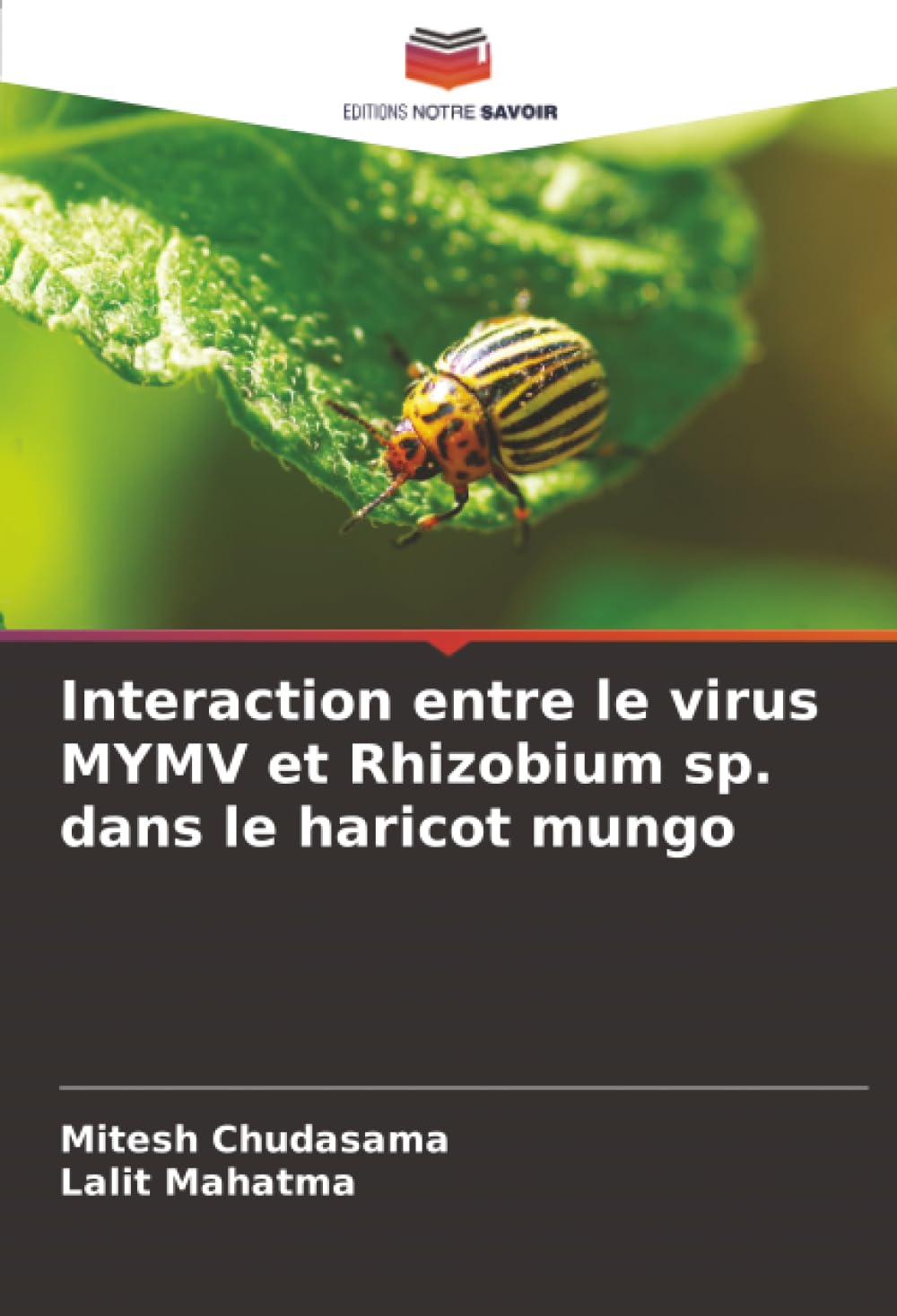 Interaction entre le virus MYMV et Rhizobium sp. dans le haricot mungo Natural Sciences