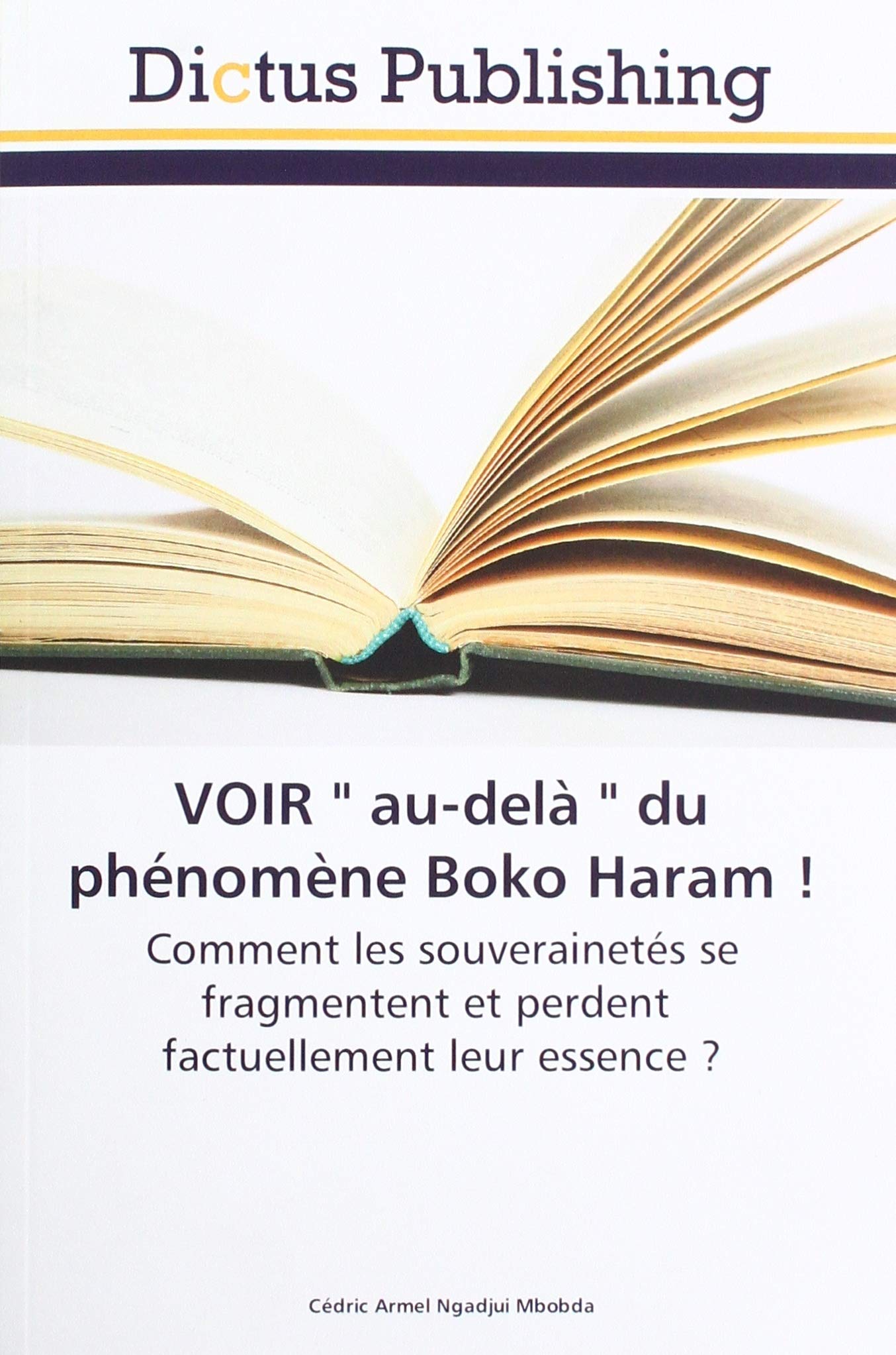 VOIR " au-delà " du phénomène Boko Haram ! book
