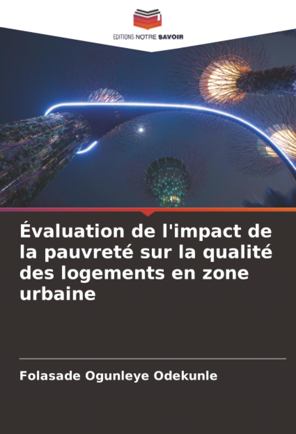 Évaluation de l'impact de la pauvreté sur la qualité des logements en zone urbaine Business & Technology
