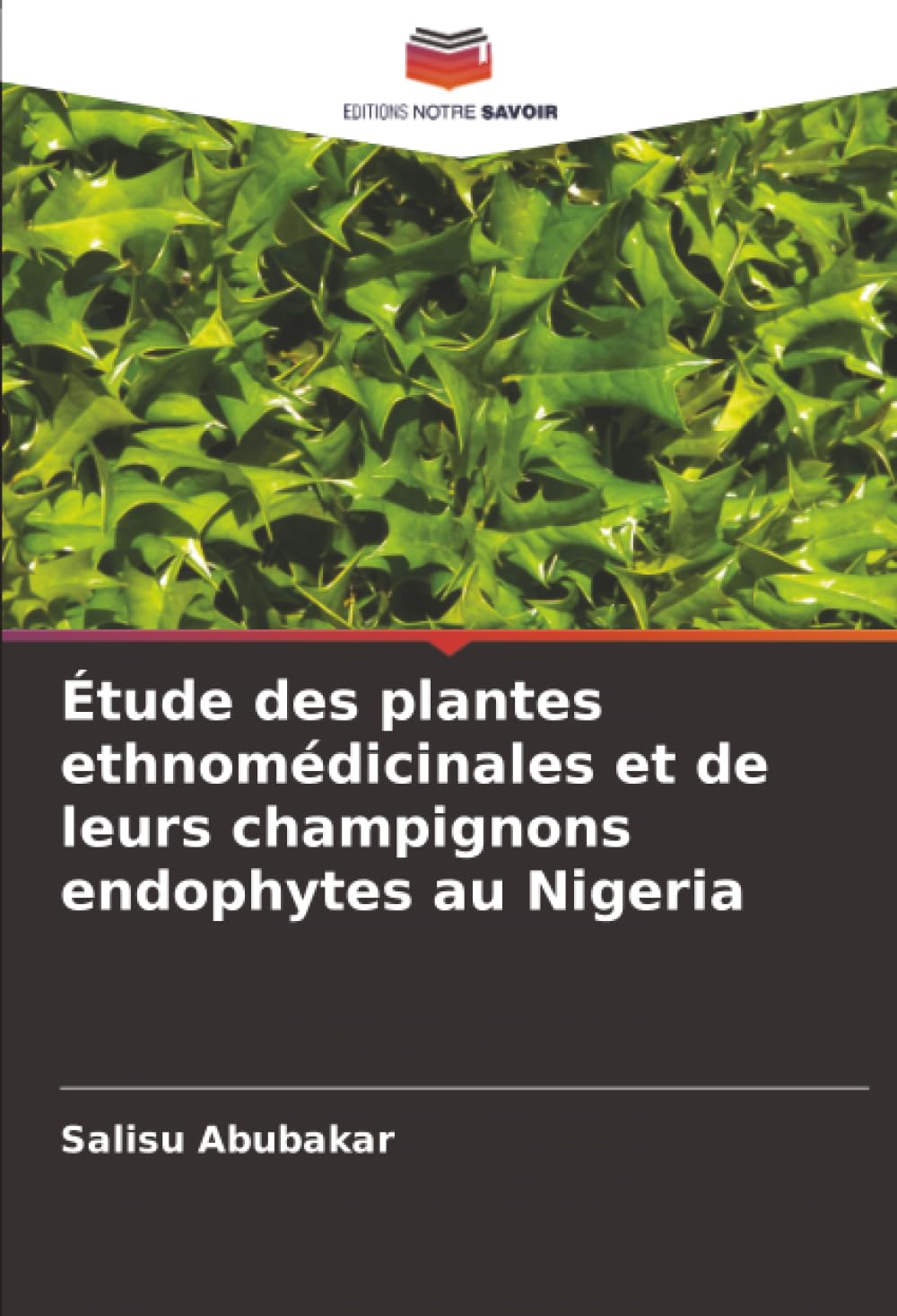 Étude des plantes ethnomédicinales et de leurs champignons endophytes au Nigeria Natural Sciences