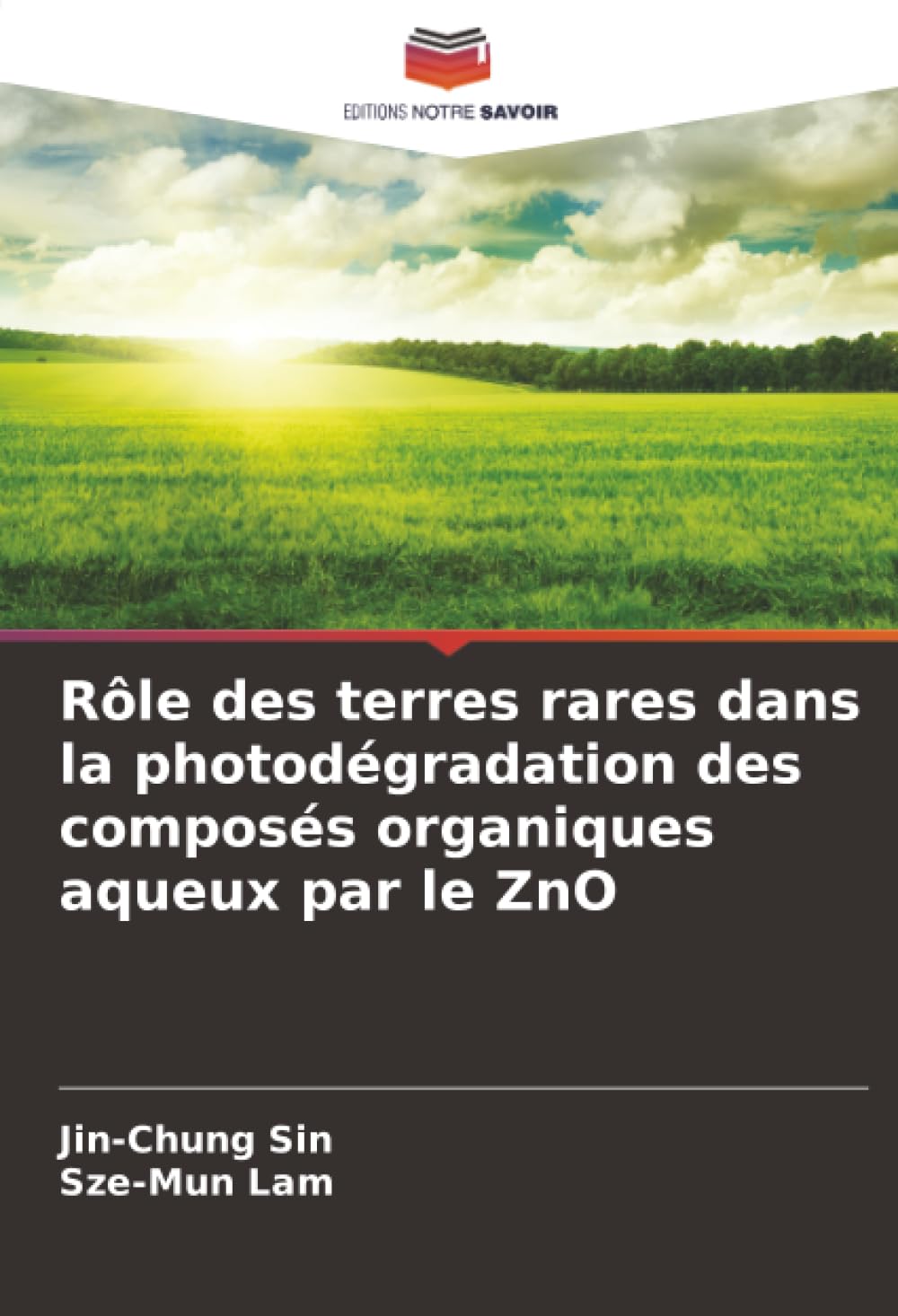 Rôle des terres rares dans la photodégradation des composés organiques aqueux par le ZnO Business & Technology