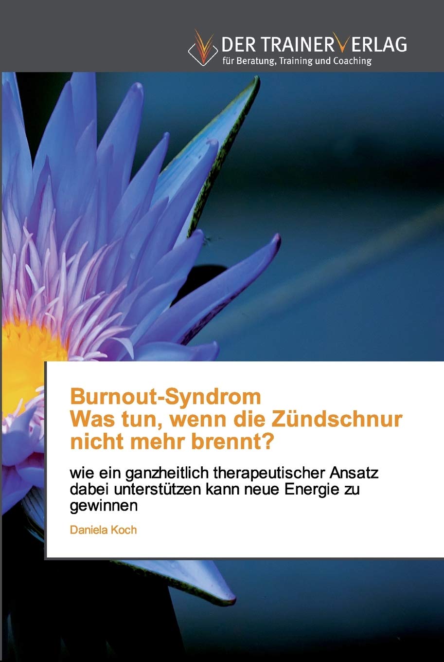 Burnout-Syndrom Was tun, wenn die Zündschnur nicht mehr brennt?: wie ein ganzheitlich therapeutischer Ansatz dabei unterstützen kann neue Energie zu gewinnen Psychology