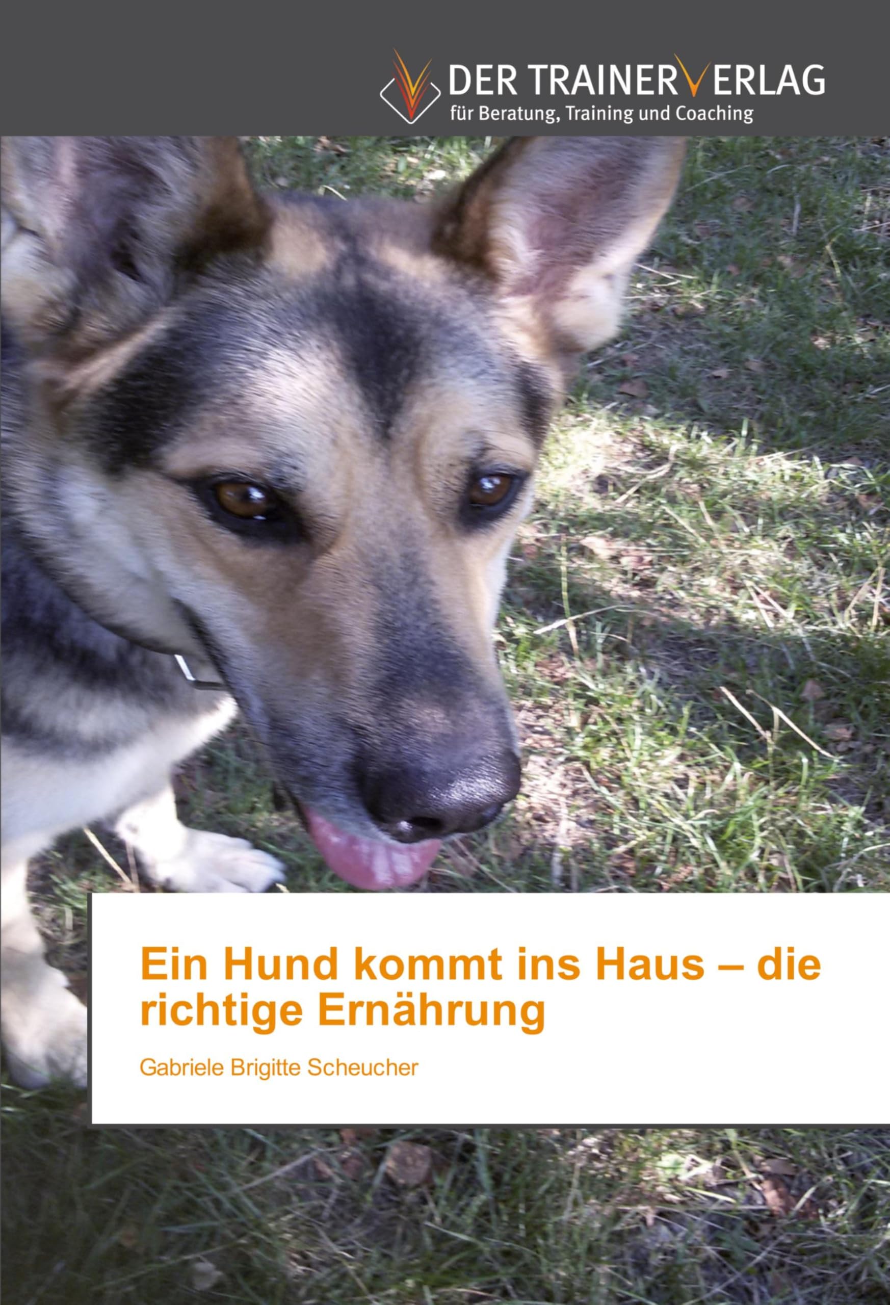 Ein Hund kommt ins Haus – die richtige Ernährung Psychology