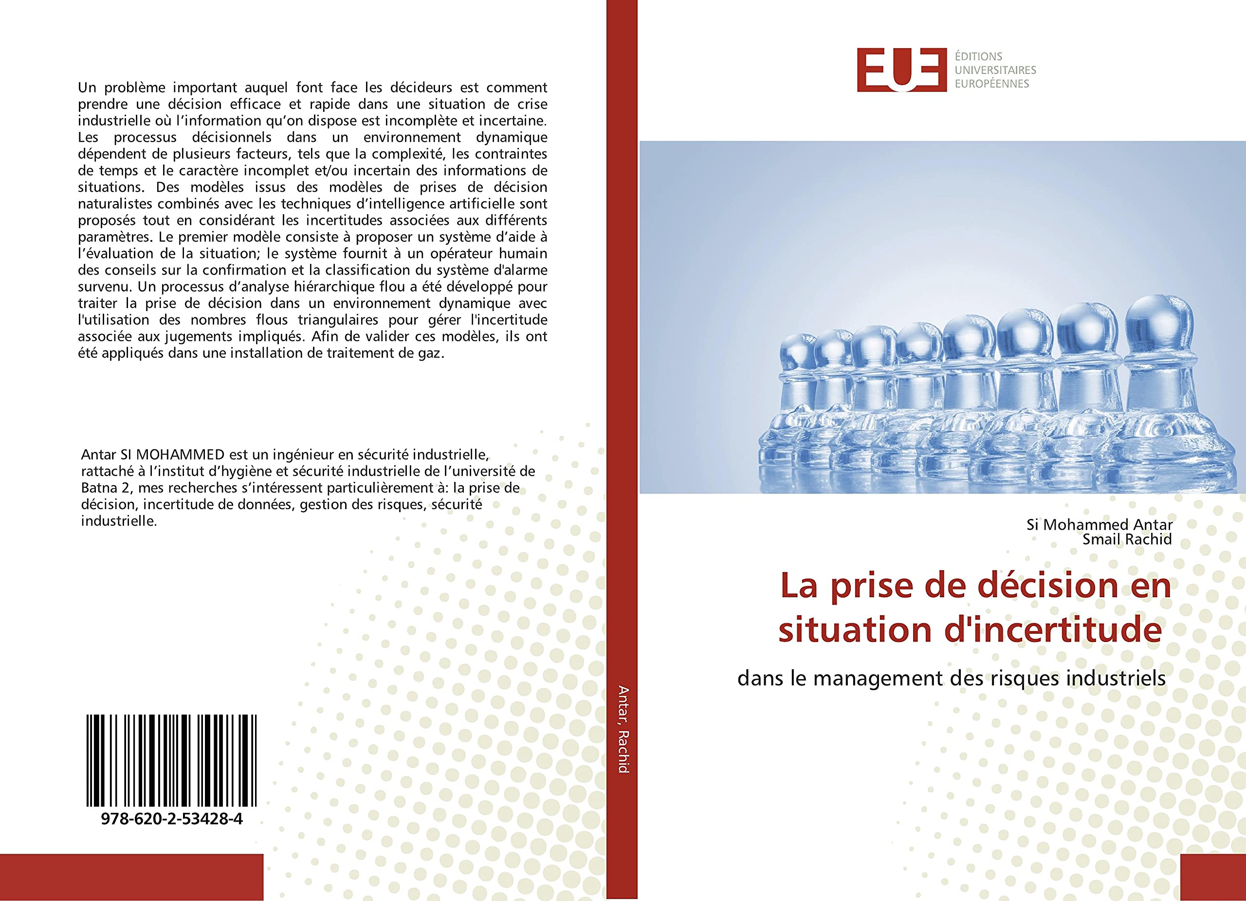 La prise de décision en situation d'incertitude: dans le management des risques industriels book