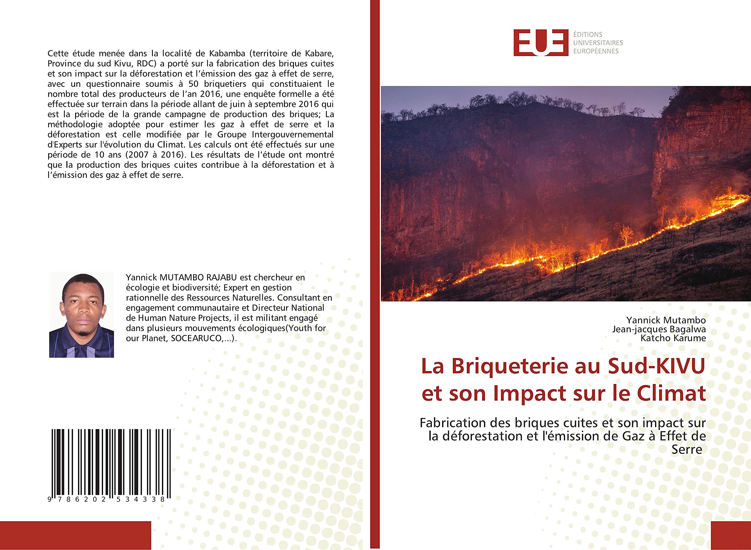 La Briqueterie au Sud-KIVU et son Impact sur le Climat: Fabrication des briques cuites et son impact sur la déforestation et l'émission de Gaz à Effet de Serre book