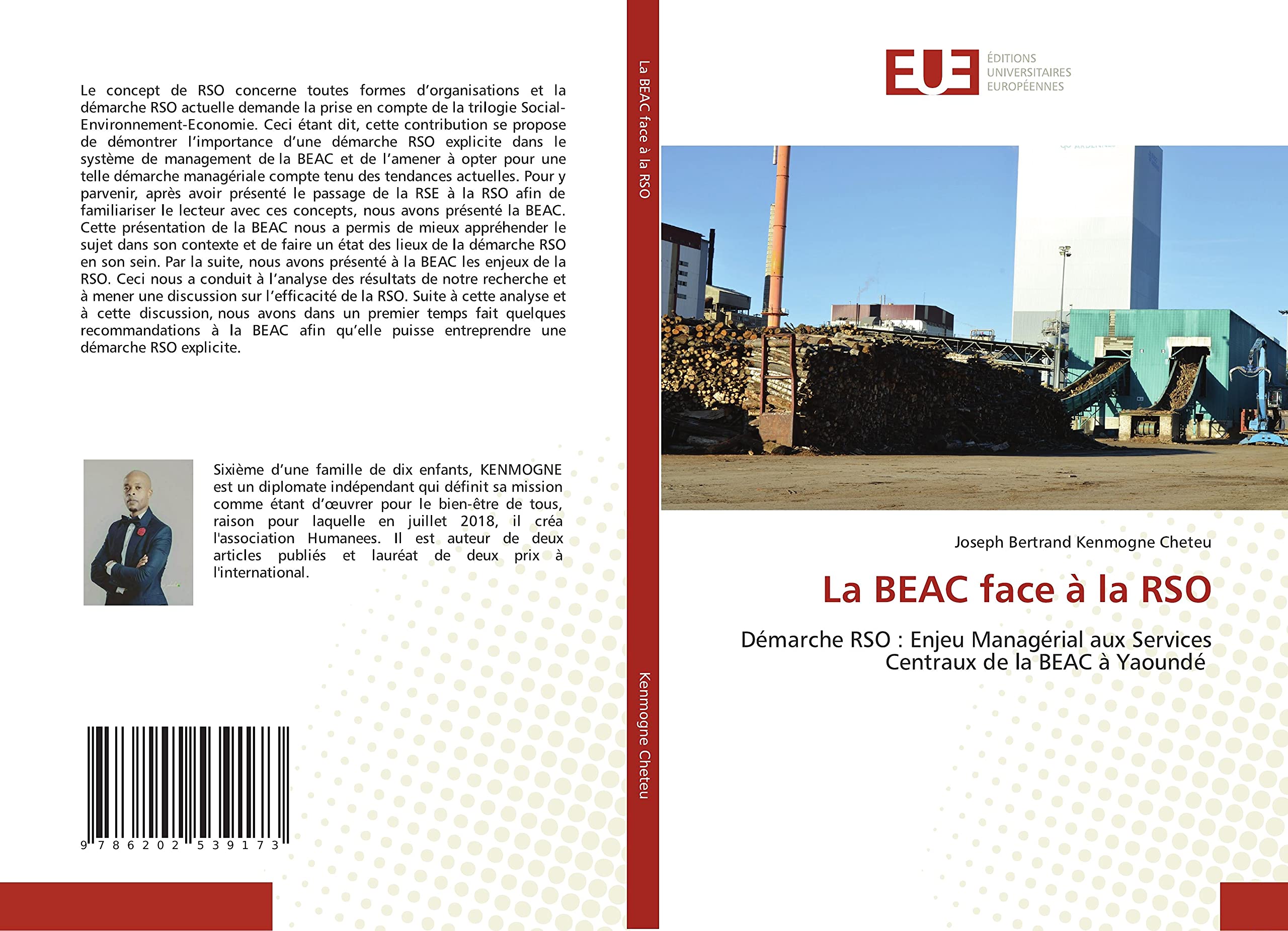 La BEAC face à la RSO: Démarche RSO : Enjeu Managérial aux Services Centraux de la BEAC à Yaoundé book