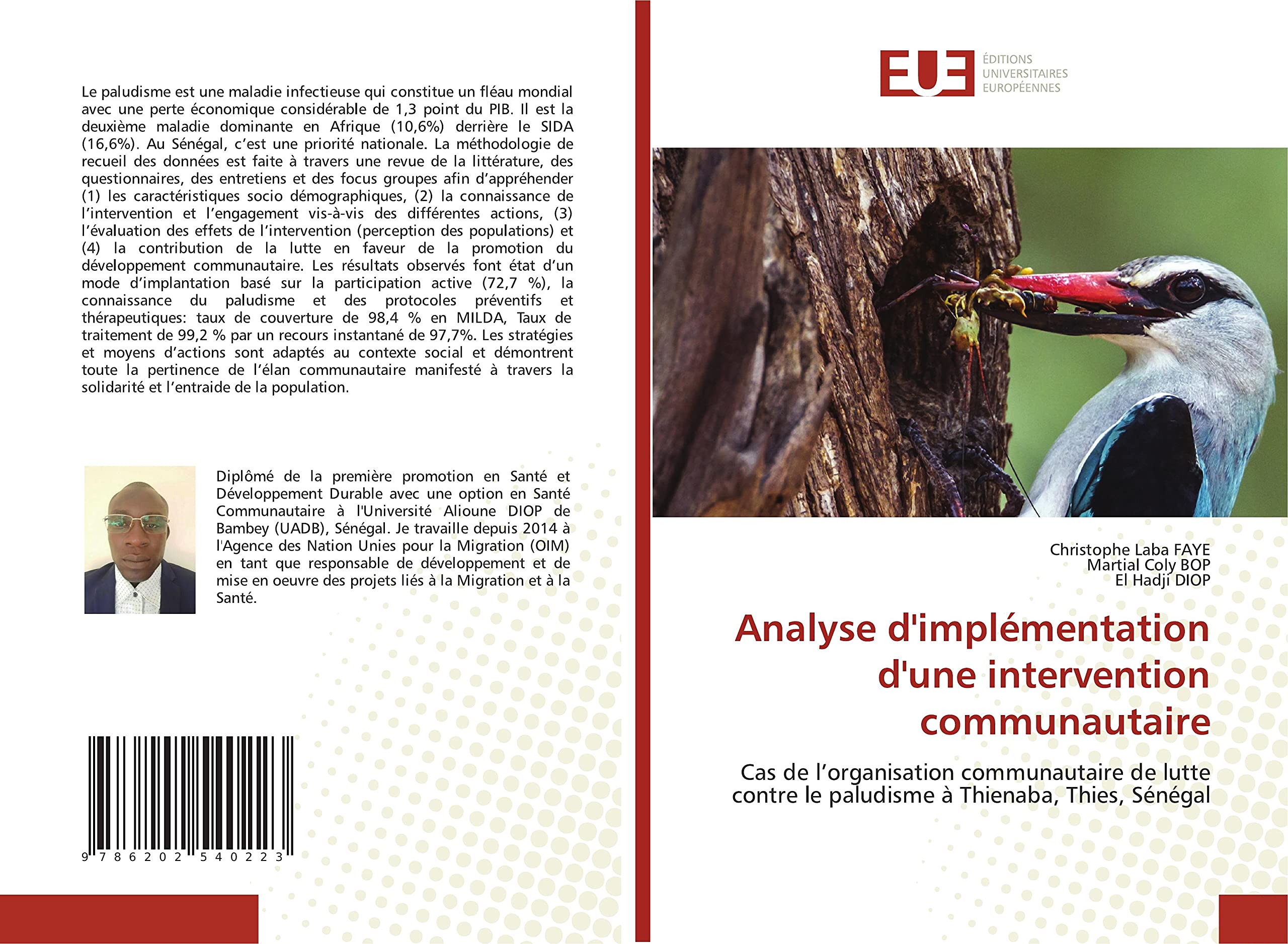 Analyse d'implémentation d'une intervention communautaire: Cas de l’organisation communautaire de lutte contre le paludisme à Thienaba, Thies, Sénégal book