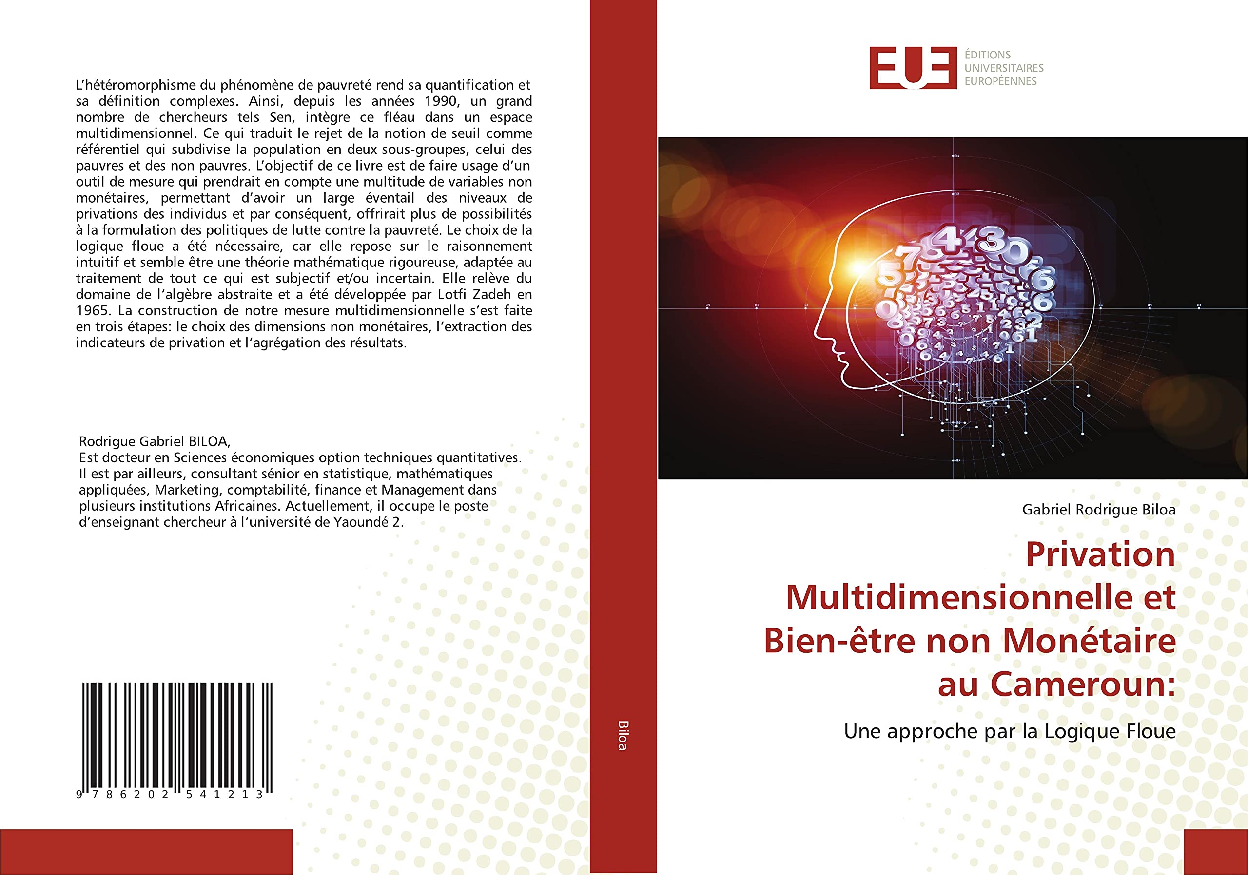 Privation Multidimensionnelle et Bien-être non Monétaire au Cameroun:: Une approche par la Logique Floue book