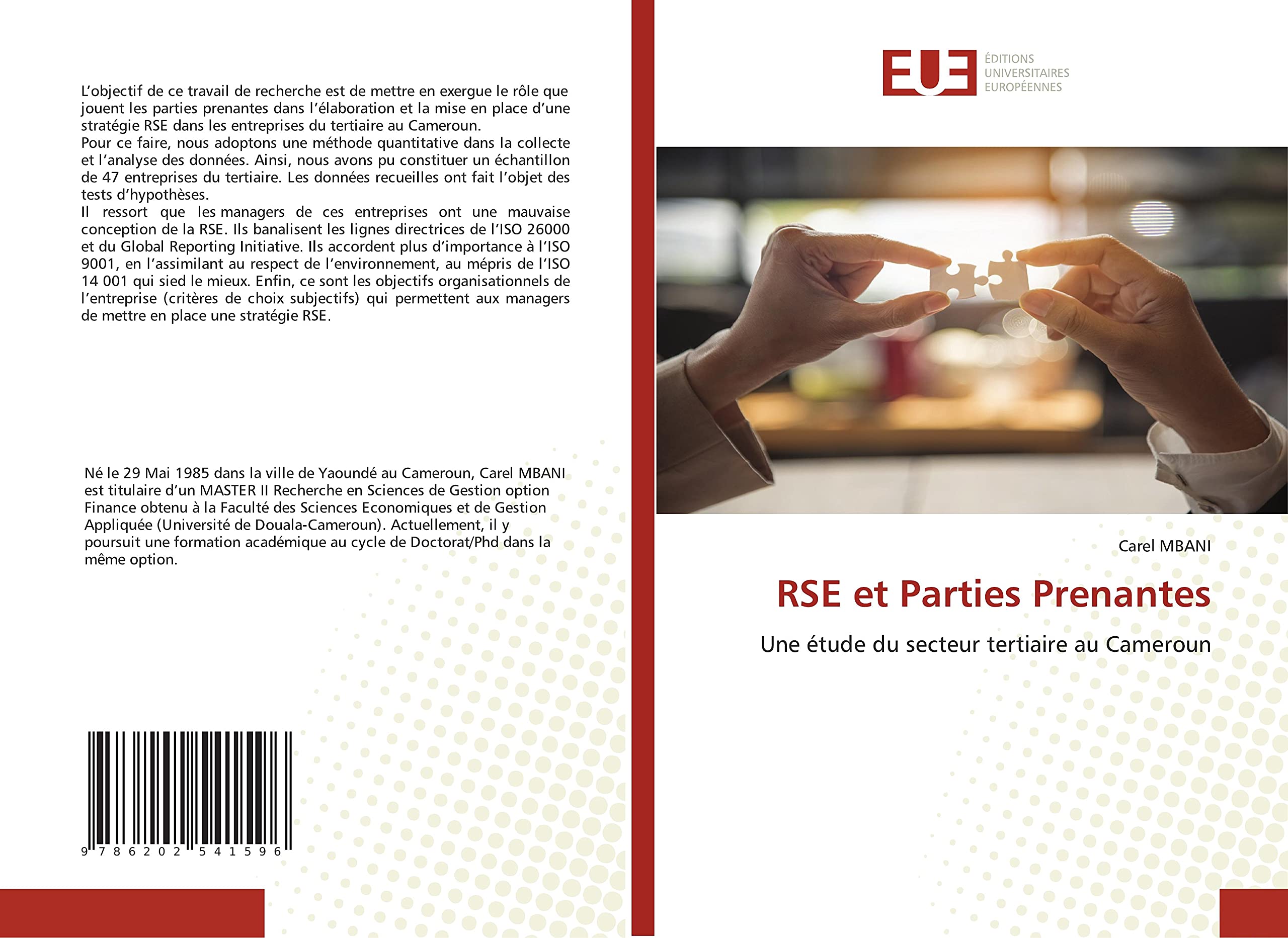 RSE et Parties Prenantes: Une étude du secteur tertiaire au Cameroun book