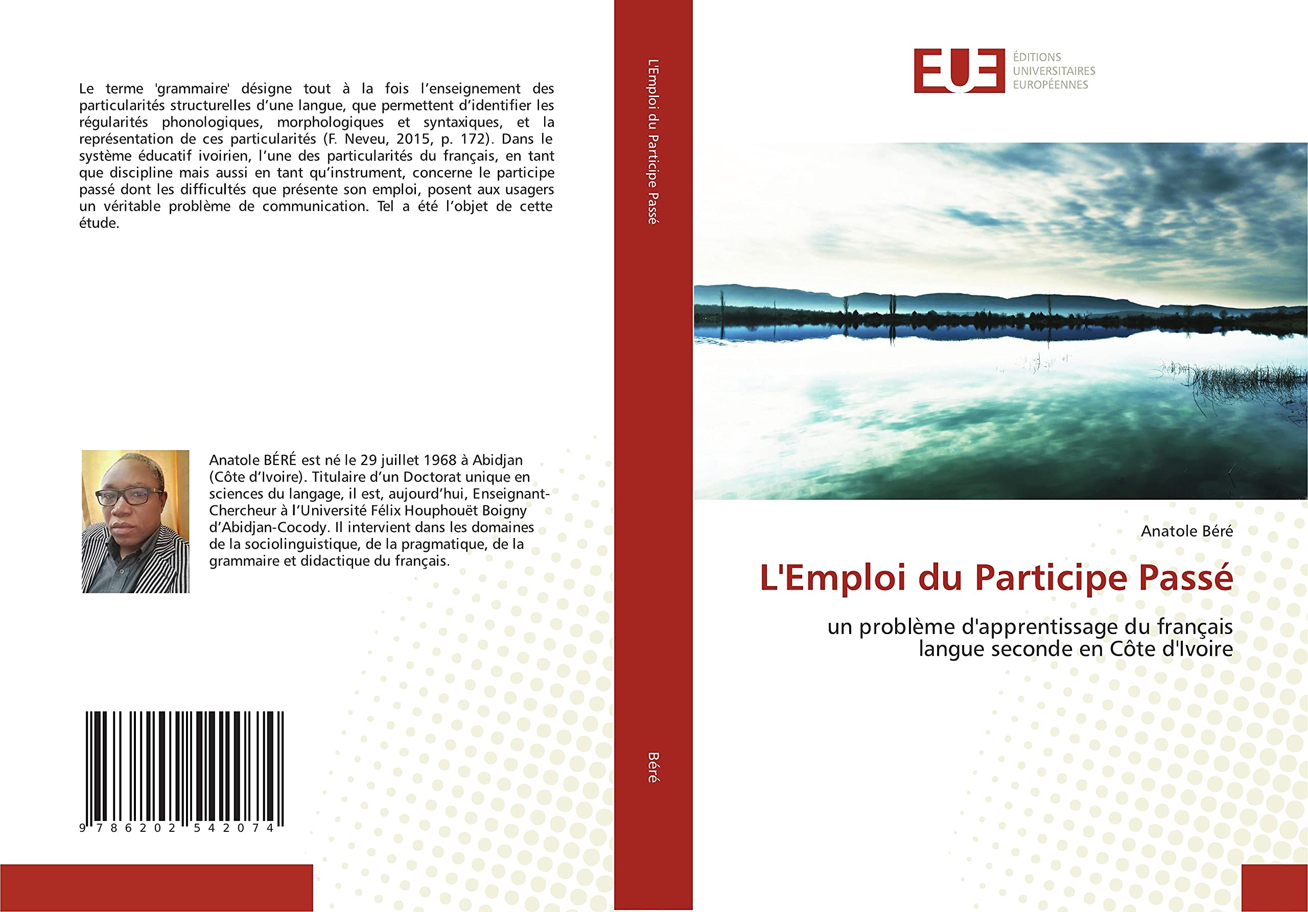 L'Emploi du Participe Passé: un problème d'apprentissage du françaislangue seconde en Côte d'Ivoire book