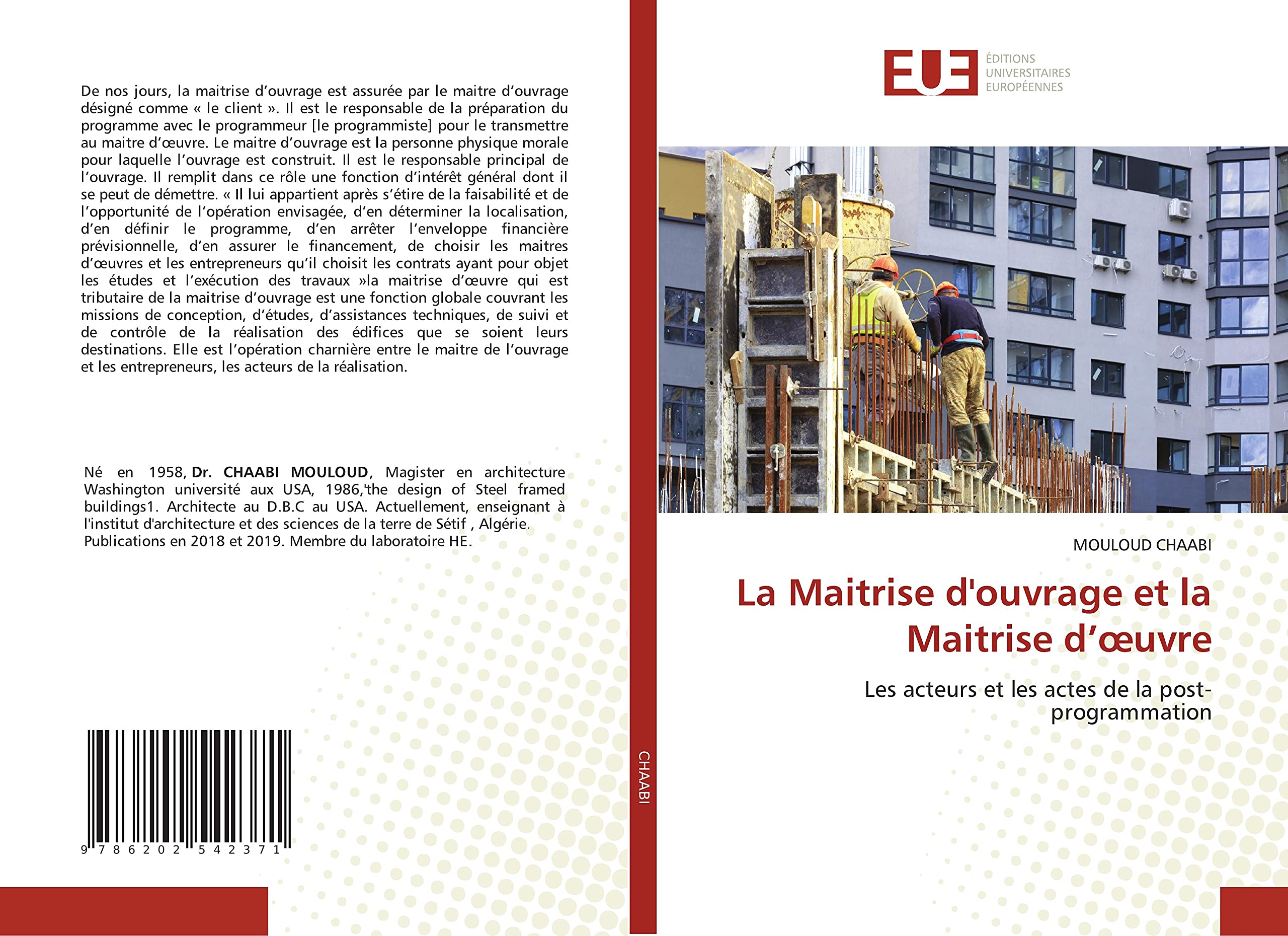 La Maitrise d'ouvrage et la Maitrise d’œuvre: Les acteurs et les actes de la post-programmation book