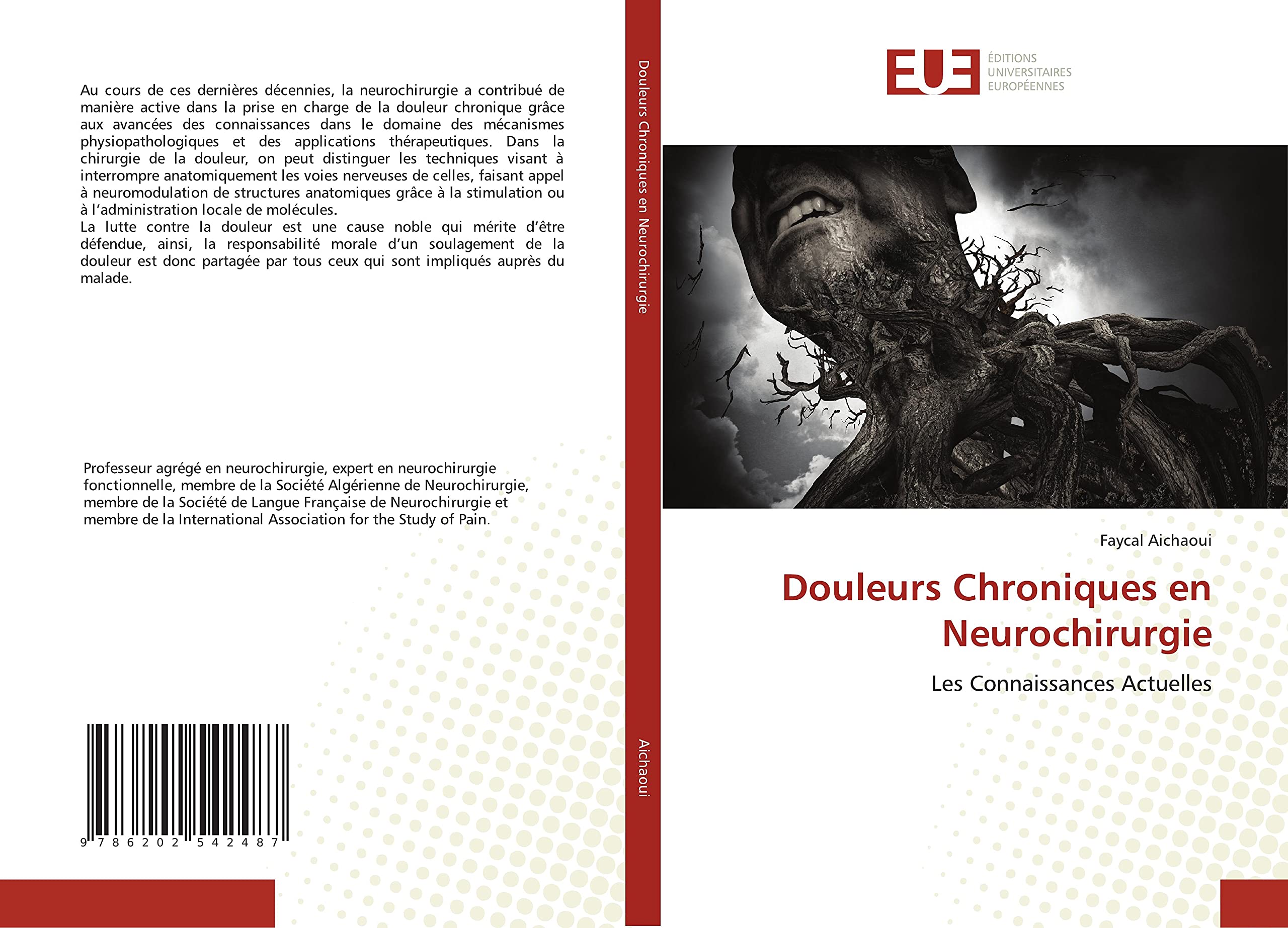 Douleurs Chroniques en Neurochirurgie: Les Connaissances Actuelles book