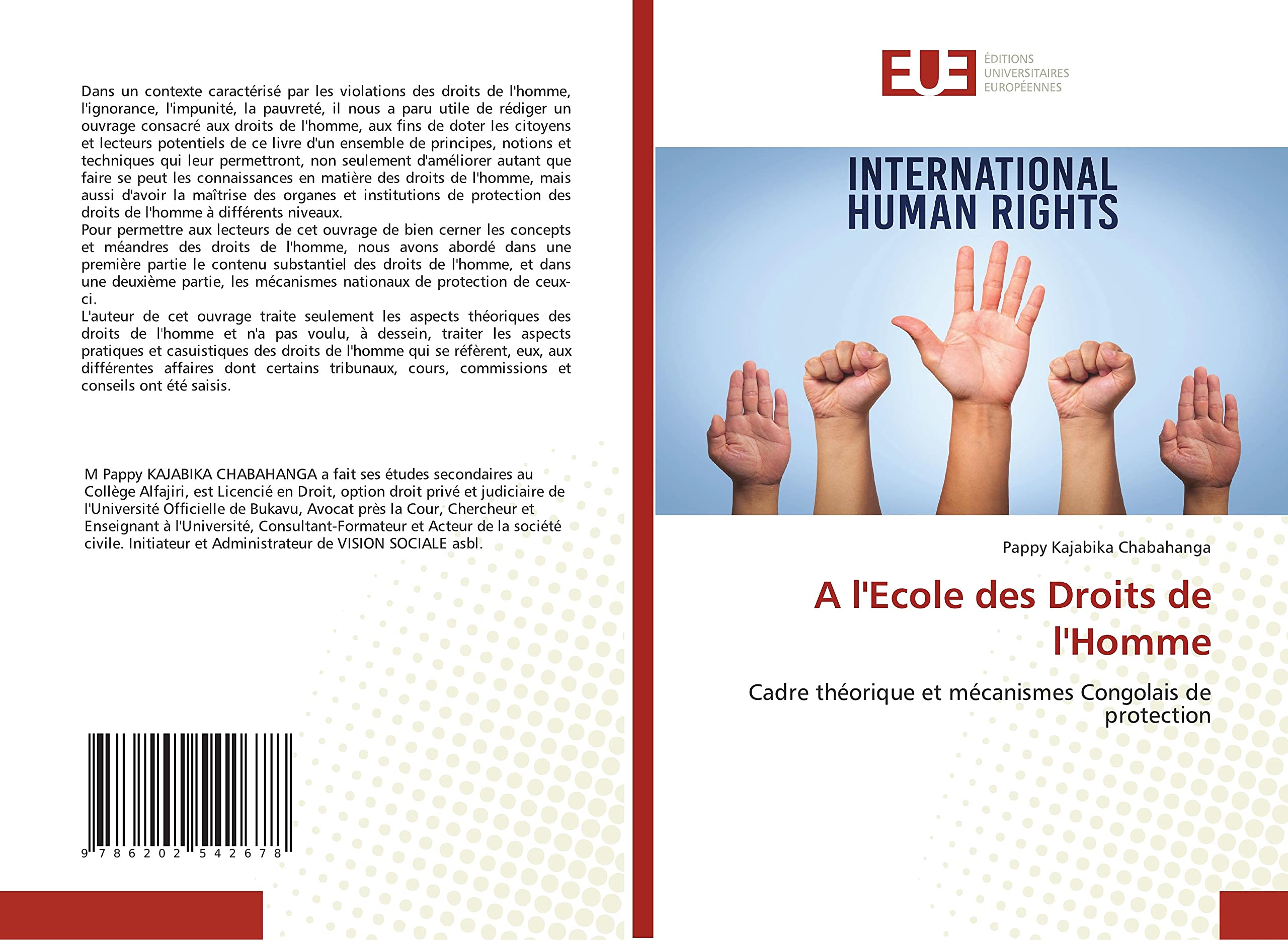 A l'Ecole des Droits de l'Homme: Cadre théorique et mécanismes Congolais de protection book