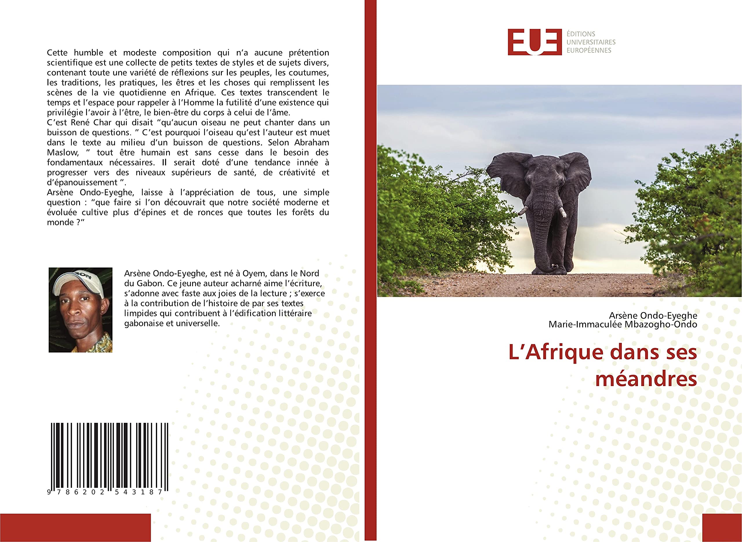 L’Afrique dans ses méandres book
