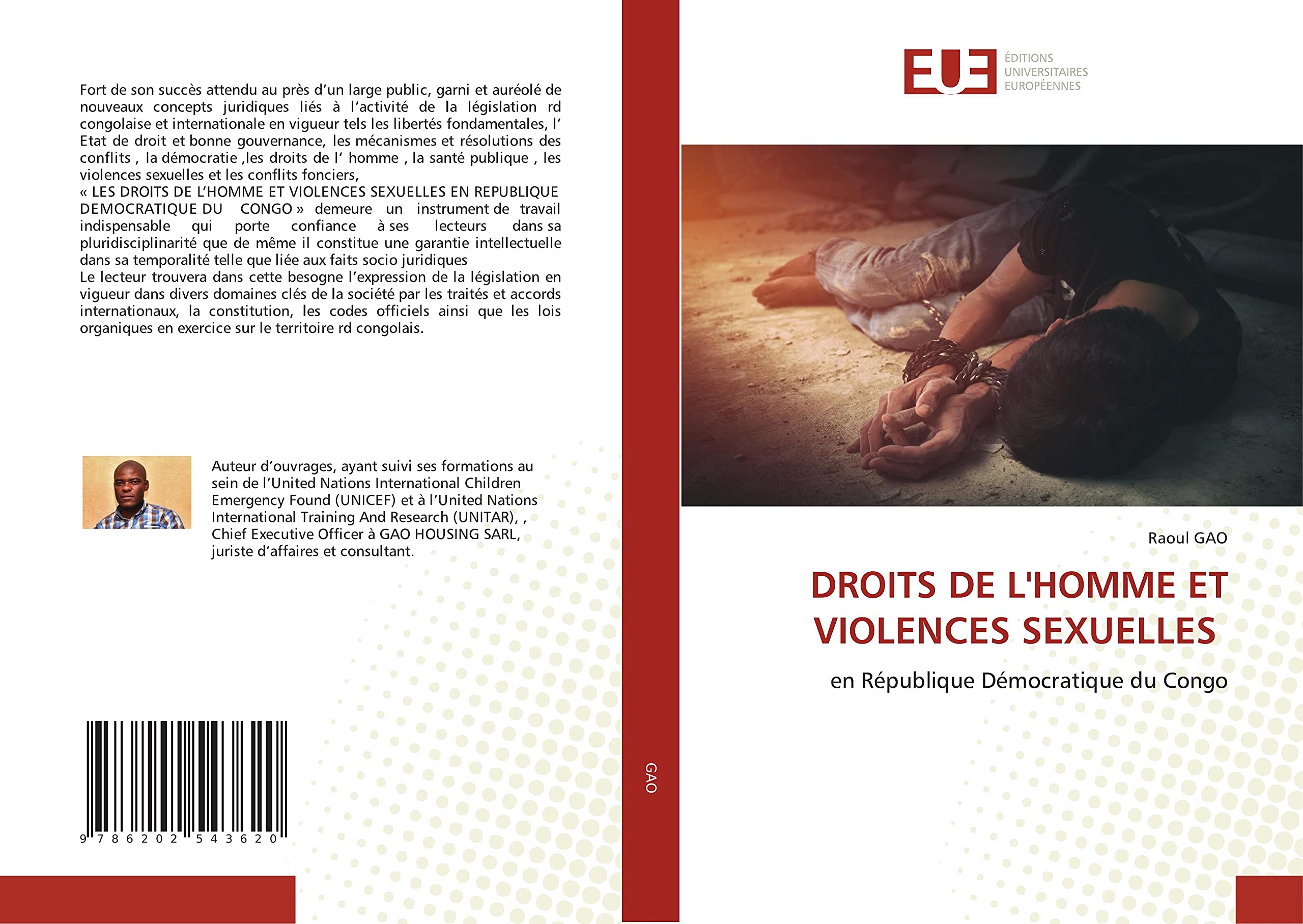 DROITS DE L'HOMME ET VIOLENCES SEXUELLES book