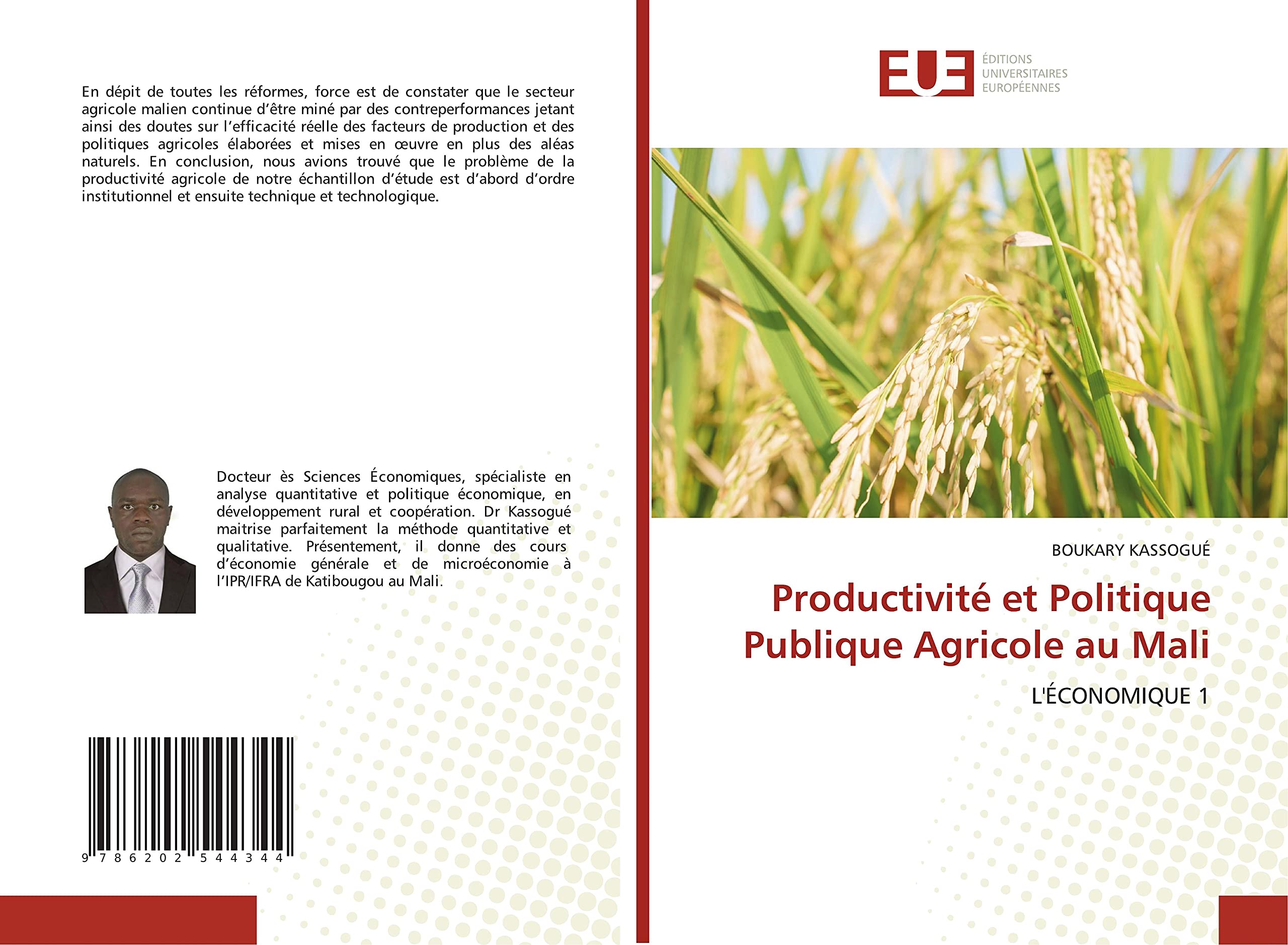 Productivité et Politique Publique Agricole au Mali: L'ÉCONOMIQUE 1 book