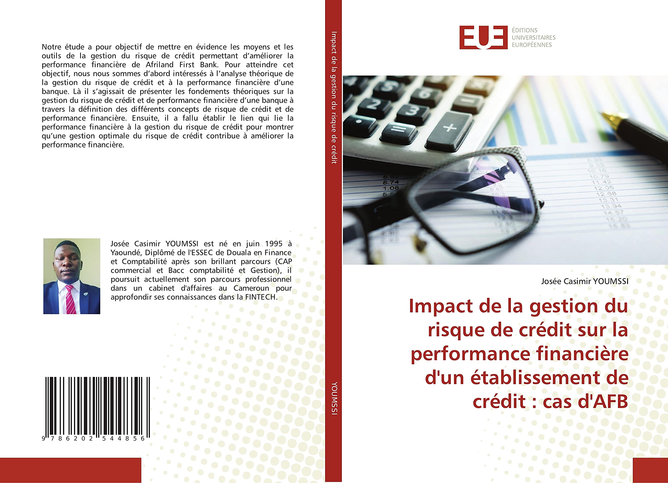 Impact de la gestion du risque de crédit sur la performance financière d'un établissement de crédit : cas d'AFB book